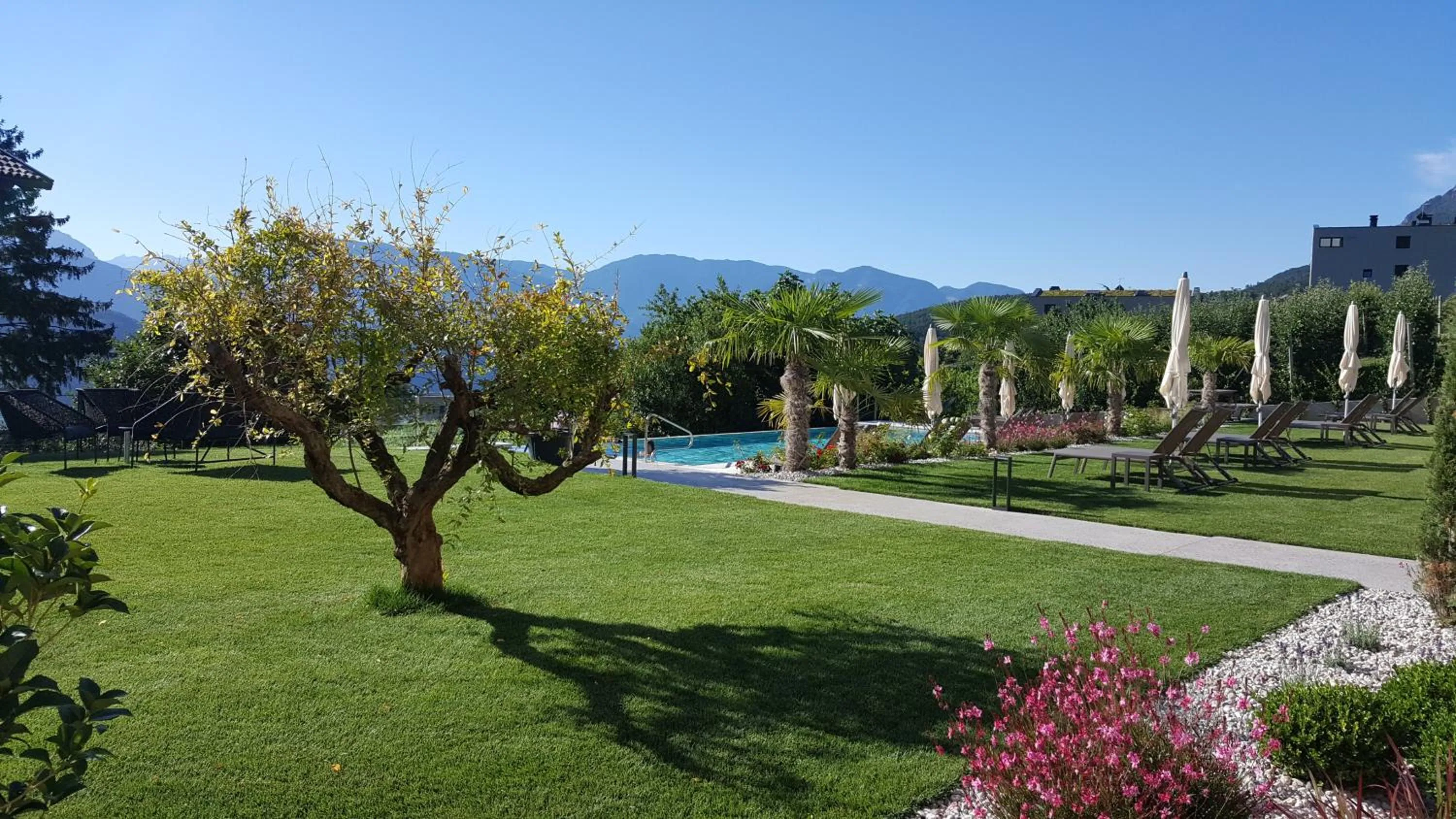 Garden in Brühl Suites&Residence