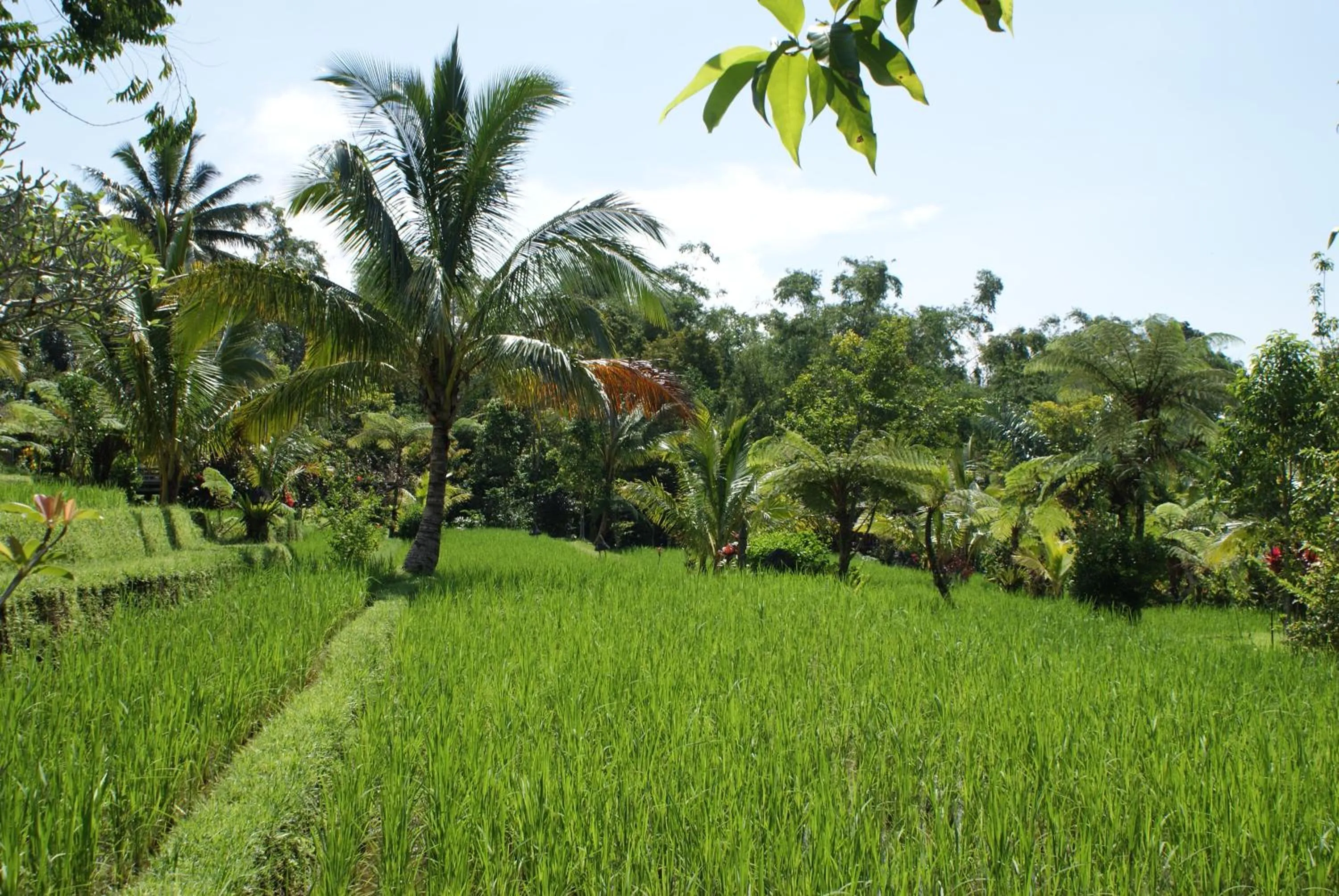 Day in Prana Dewi Mountain Resort