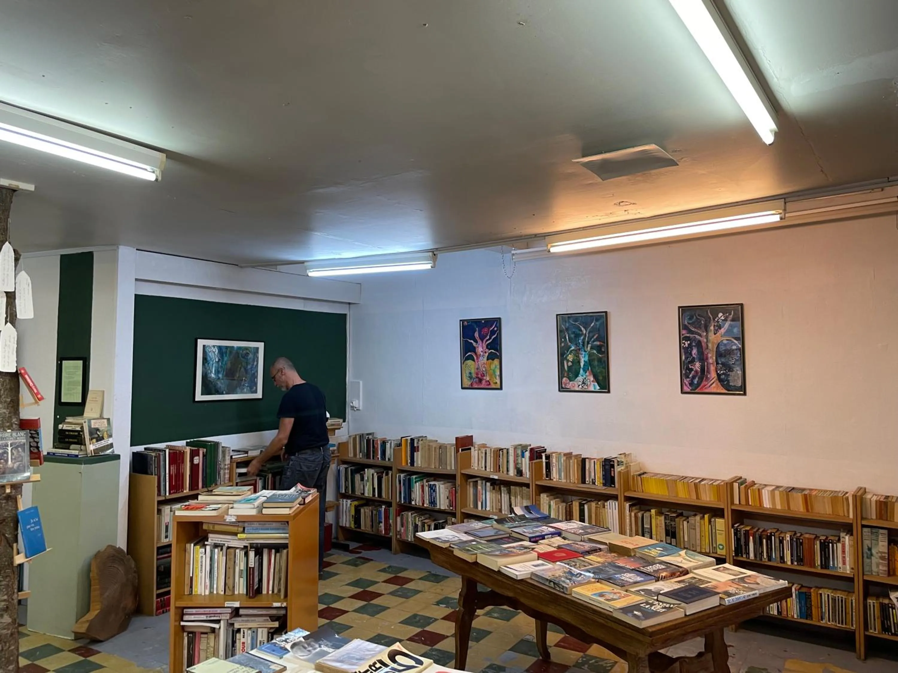 Library in La Reduiste