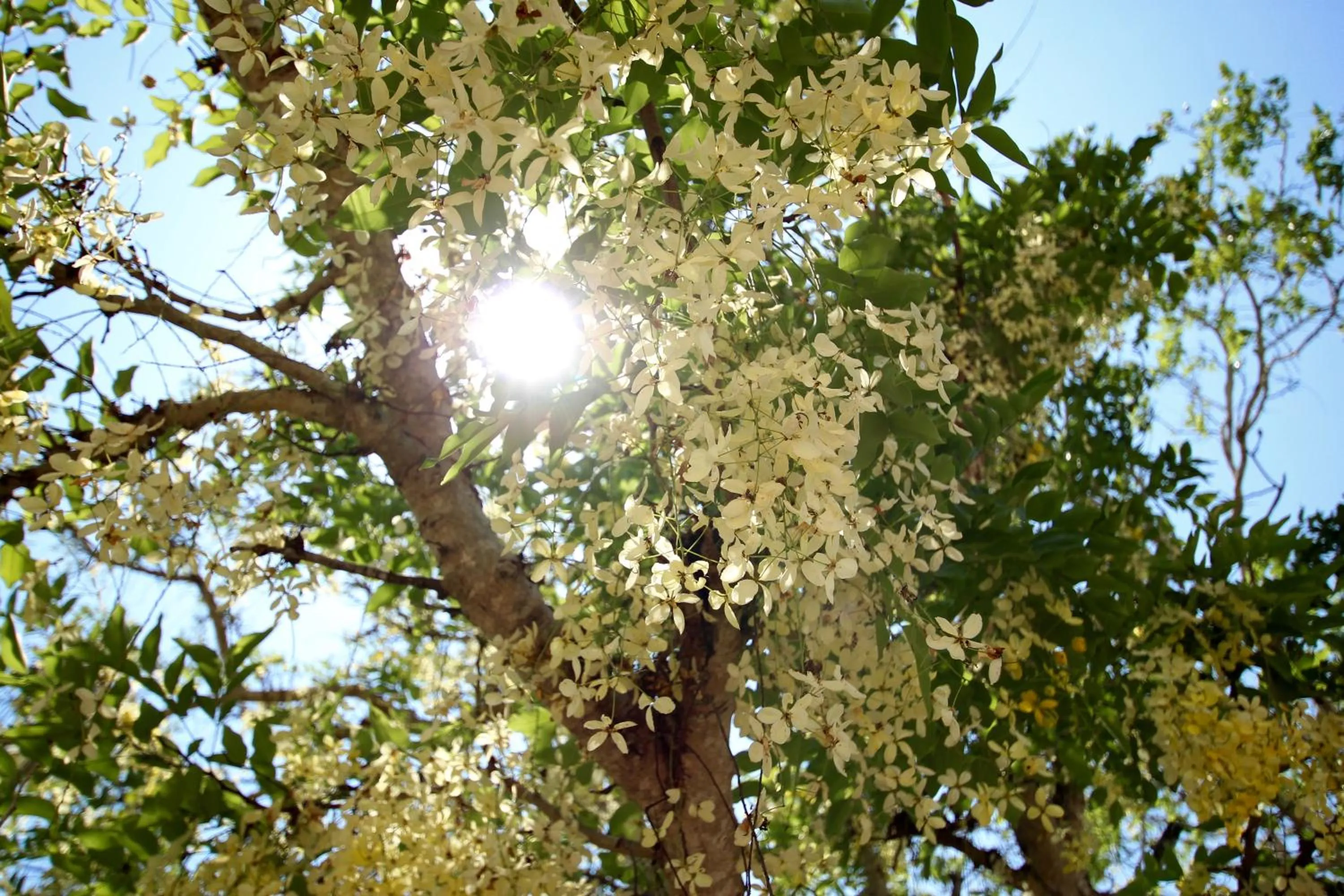 Natural landscape in The Zubeida Boutique Resort
