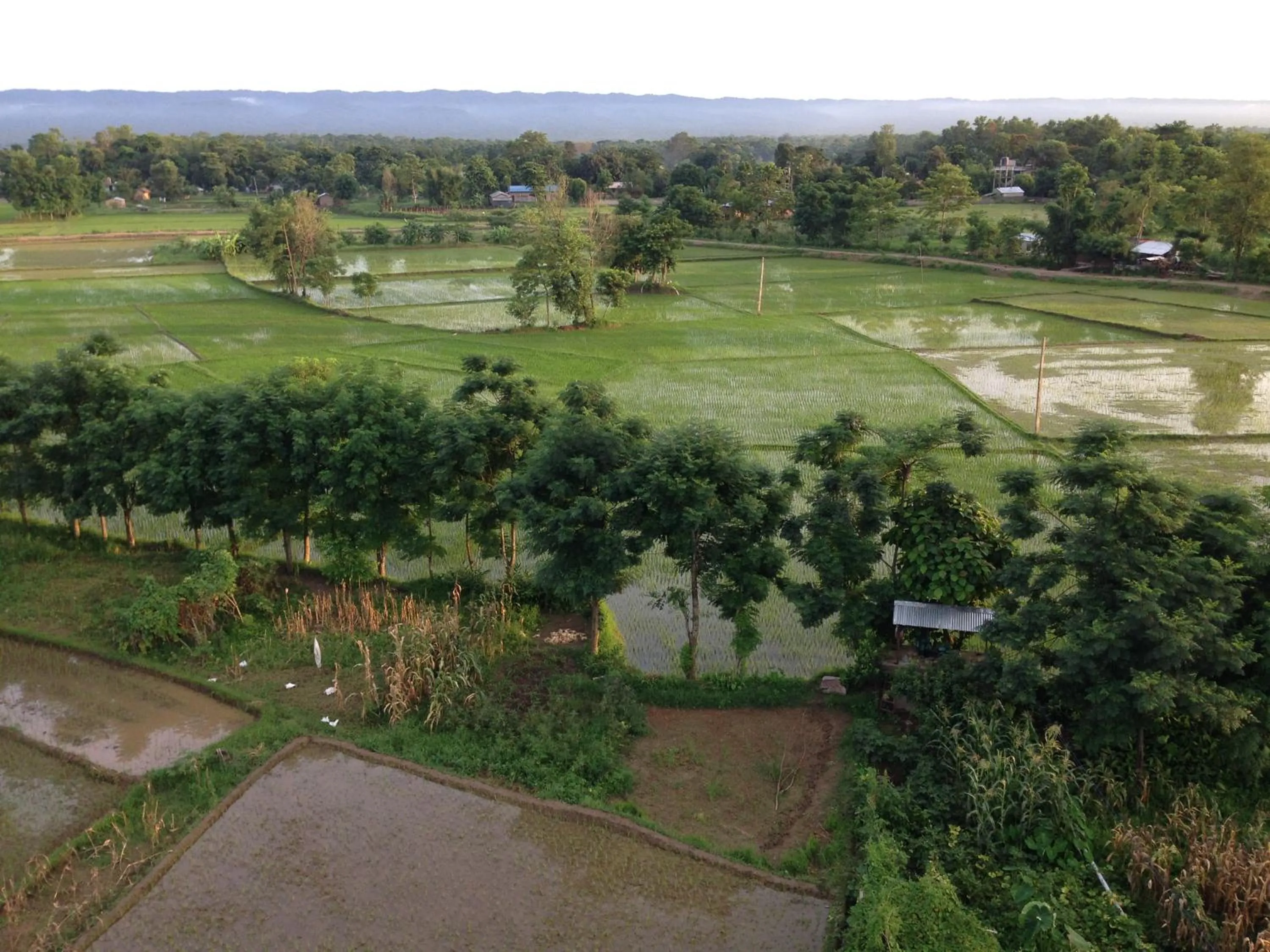 View (from property/room) in Chautari Garden Resort