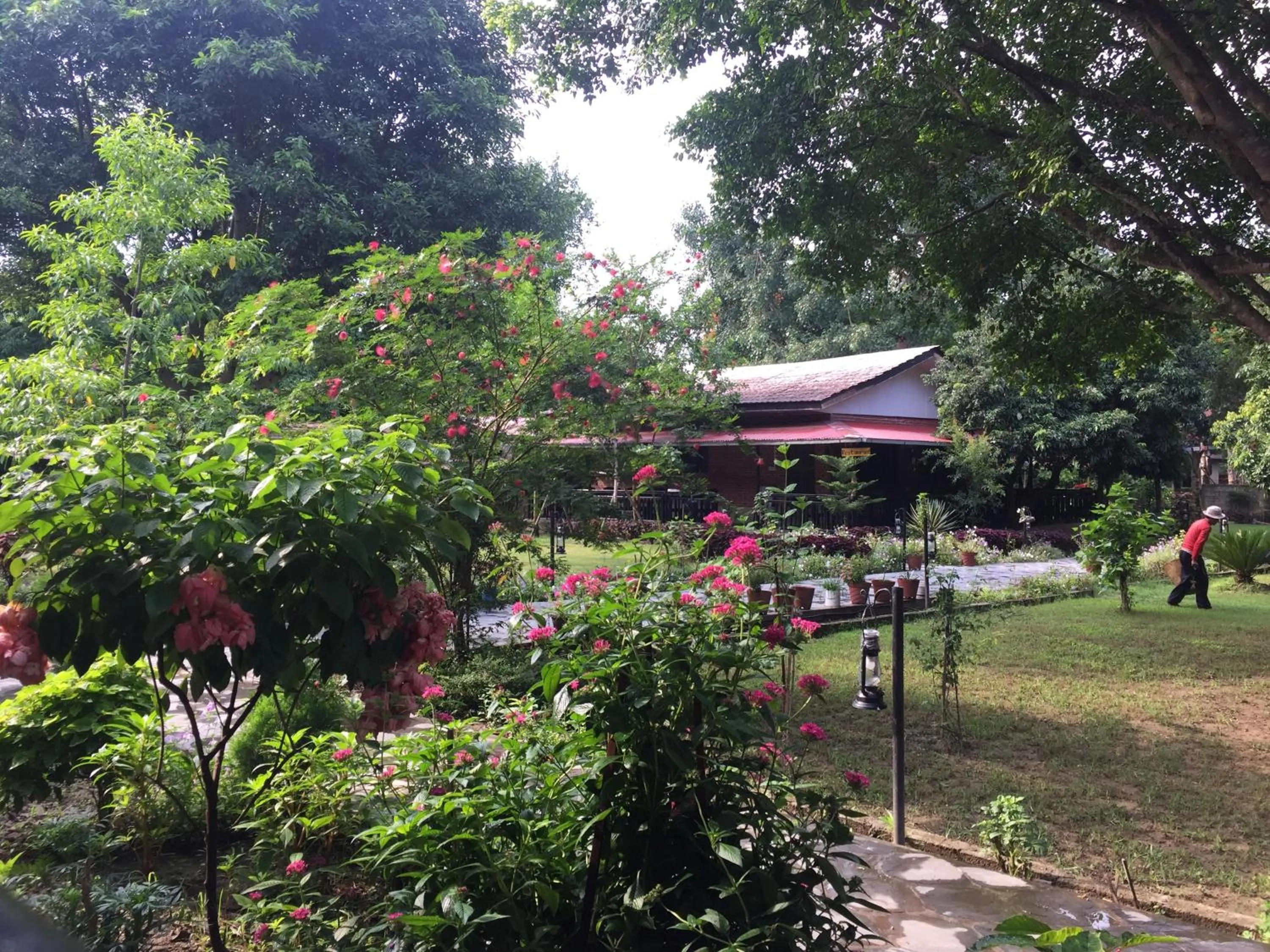 Garden view in Chautari Garden Resort