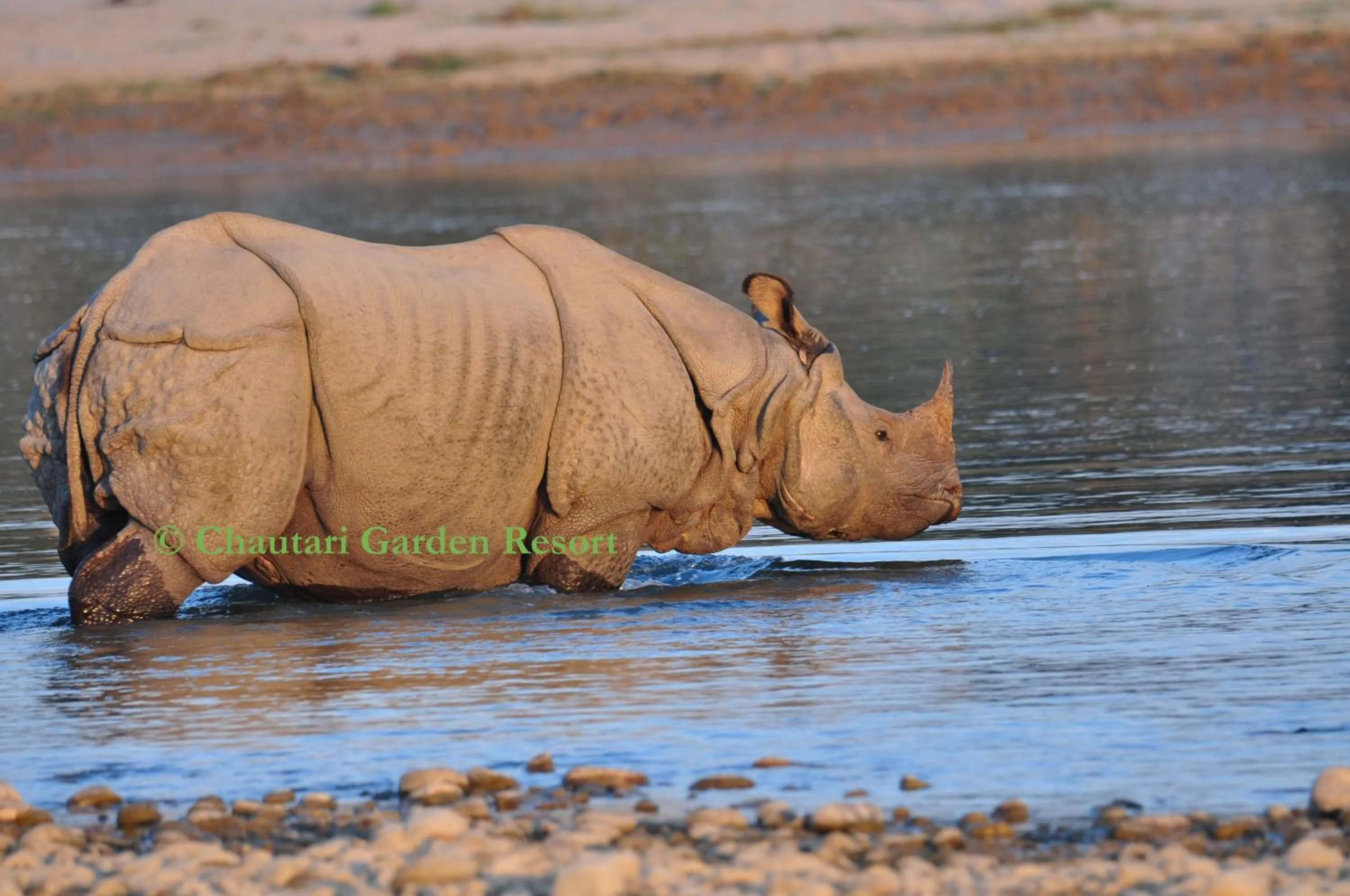 Entertainment in Chautari Garden Resort