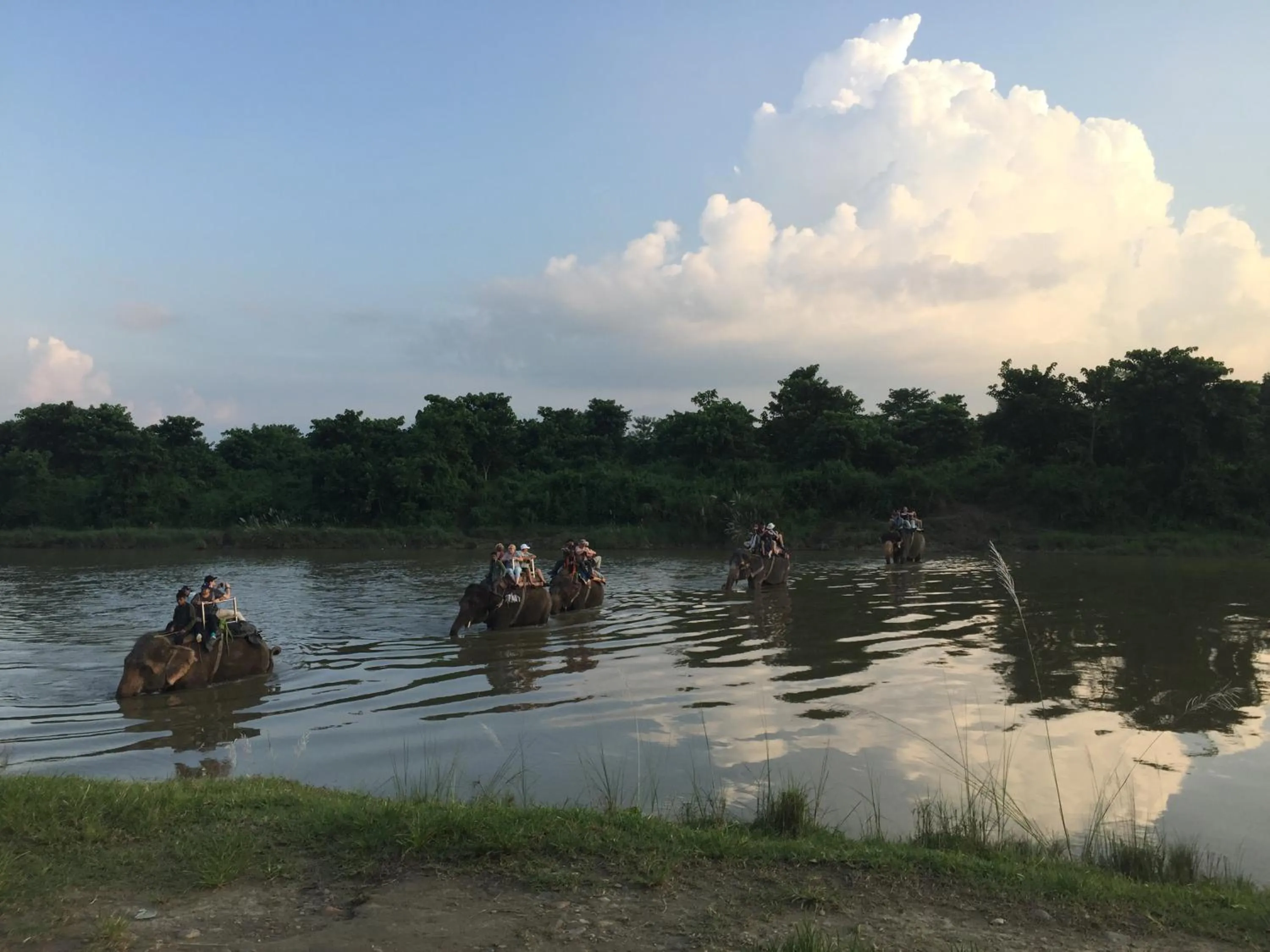 Animals in Chautari Garden Resort