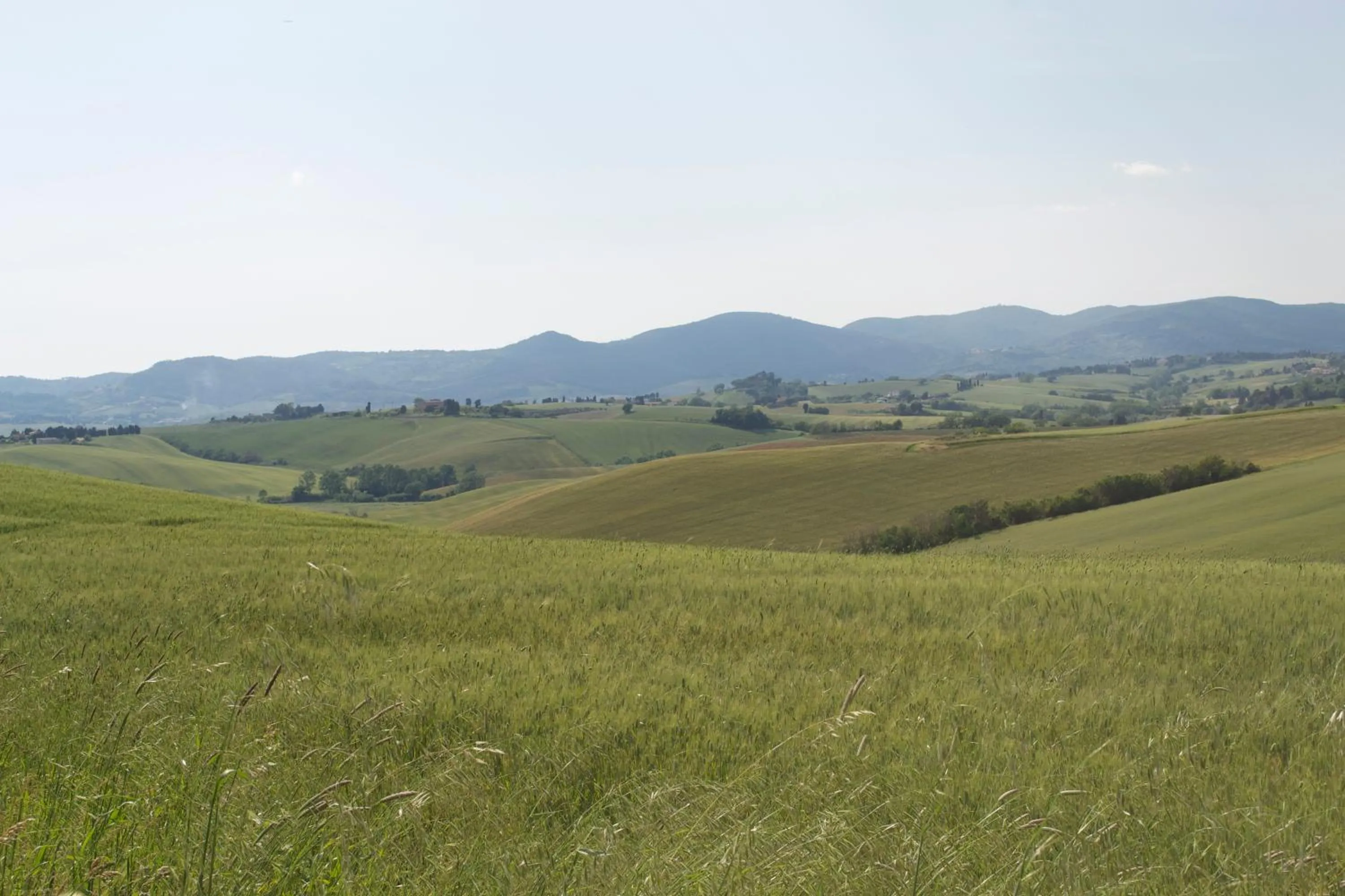 Other in Residence Giuly Rosselmini