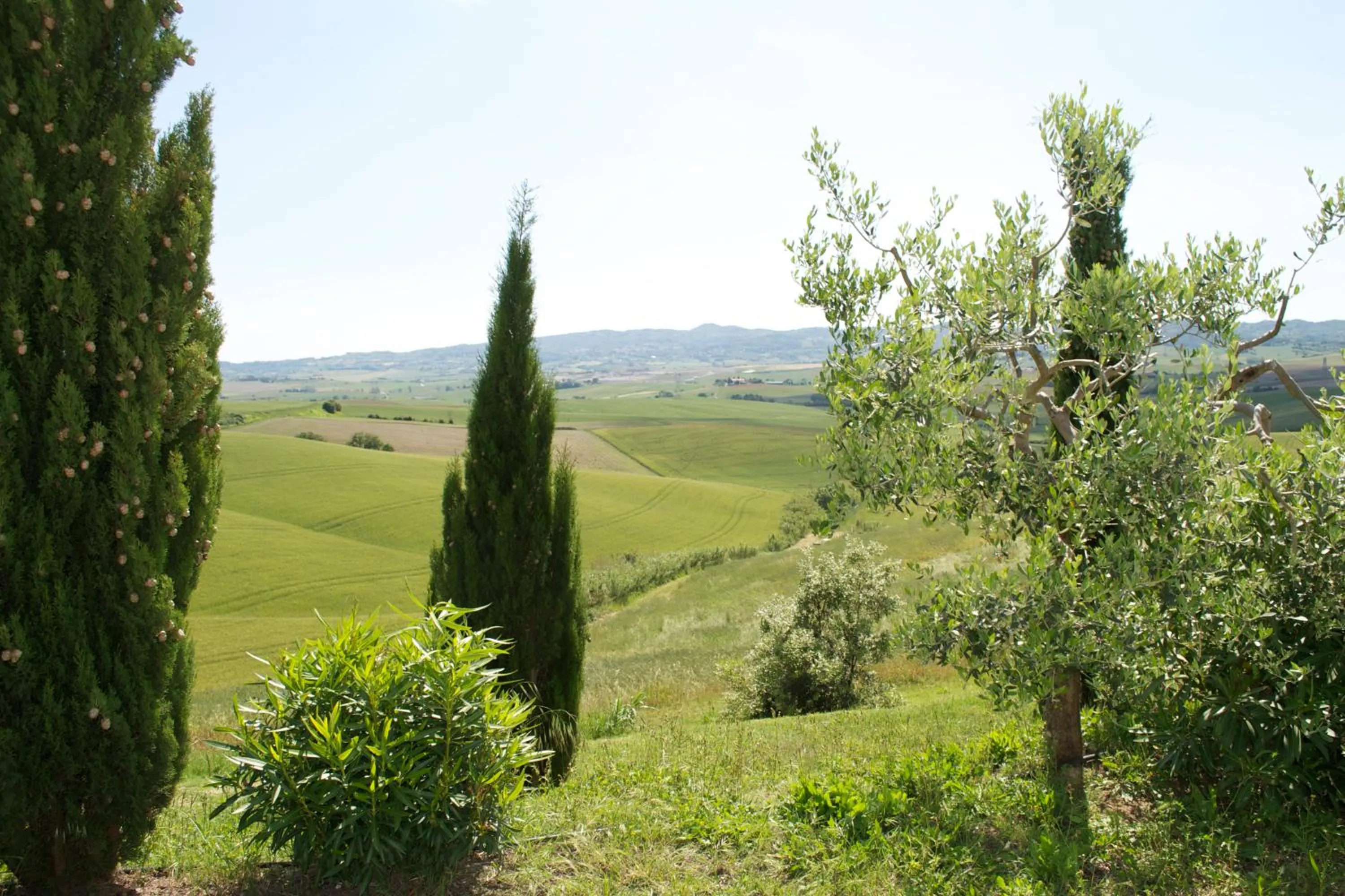 Other in Residence Giuly Rosselmini