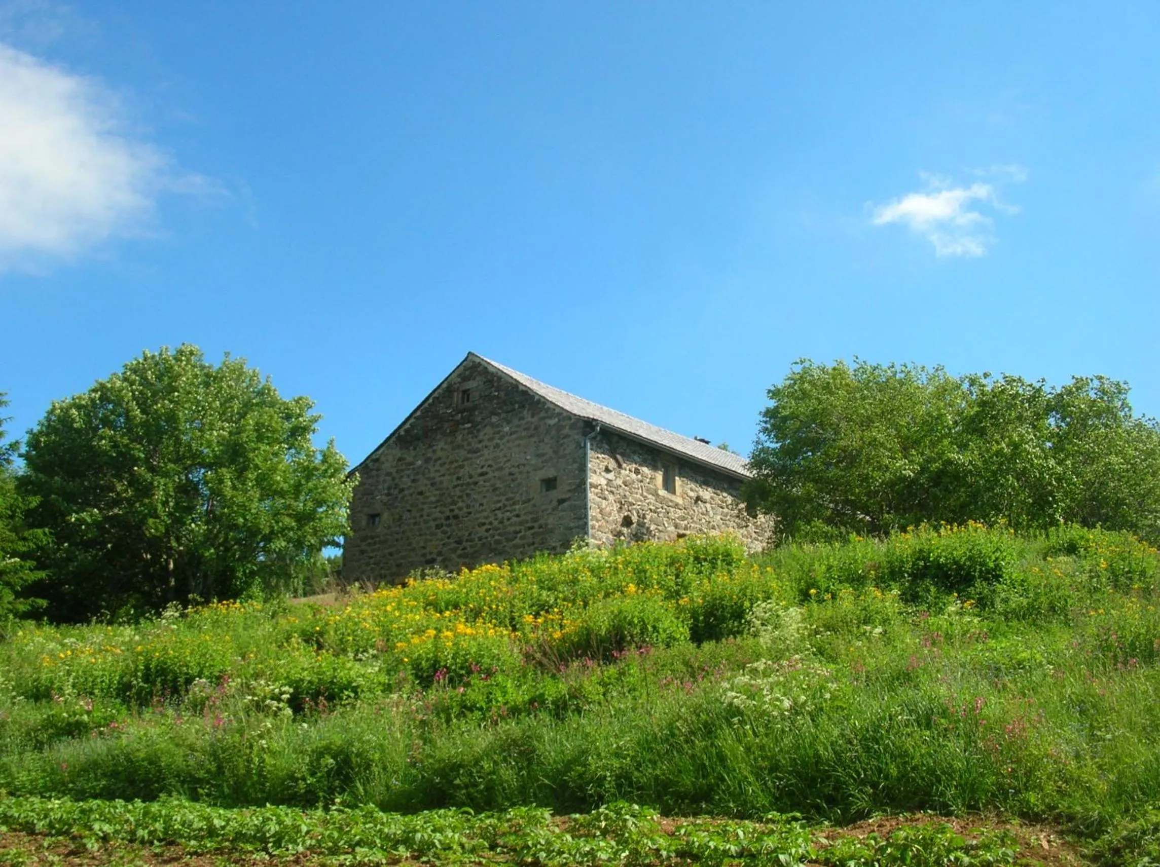 Garden in Bastides Du Mezenc