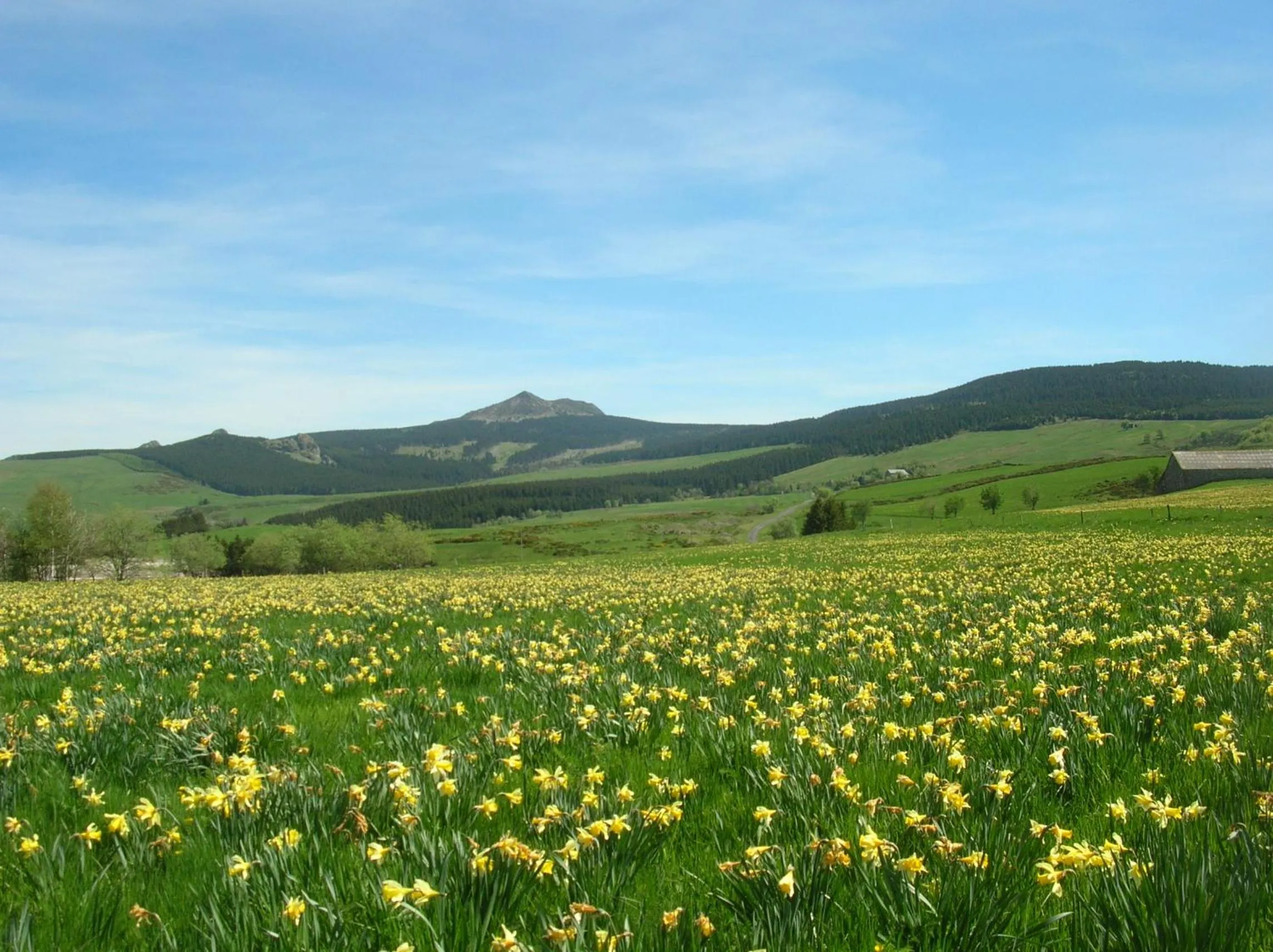 Natural landscape in Bastides Du Mezenc