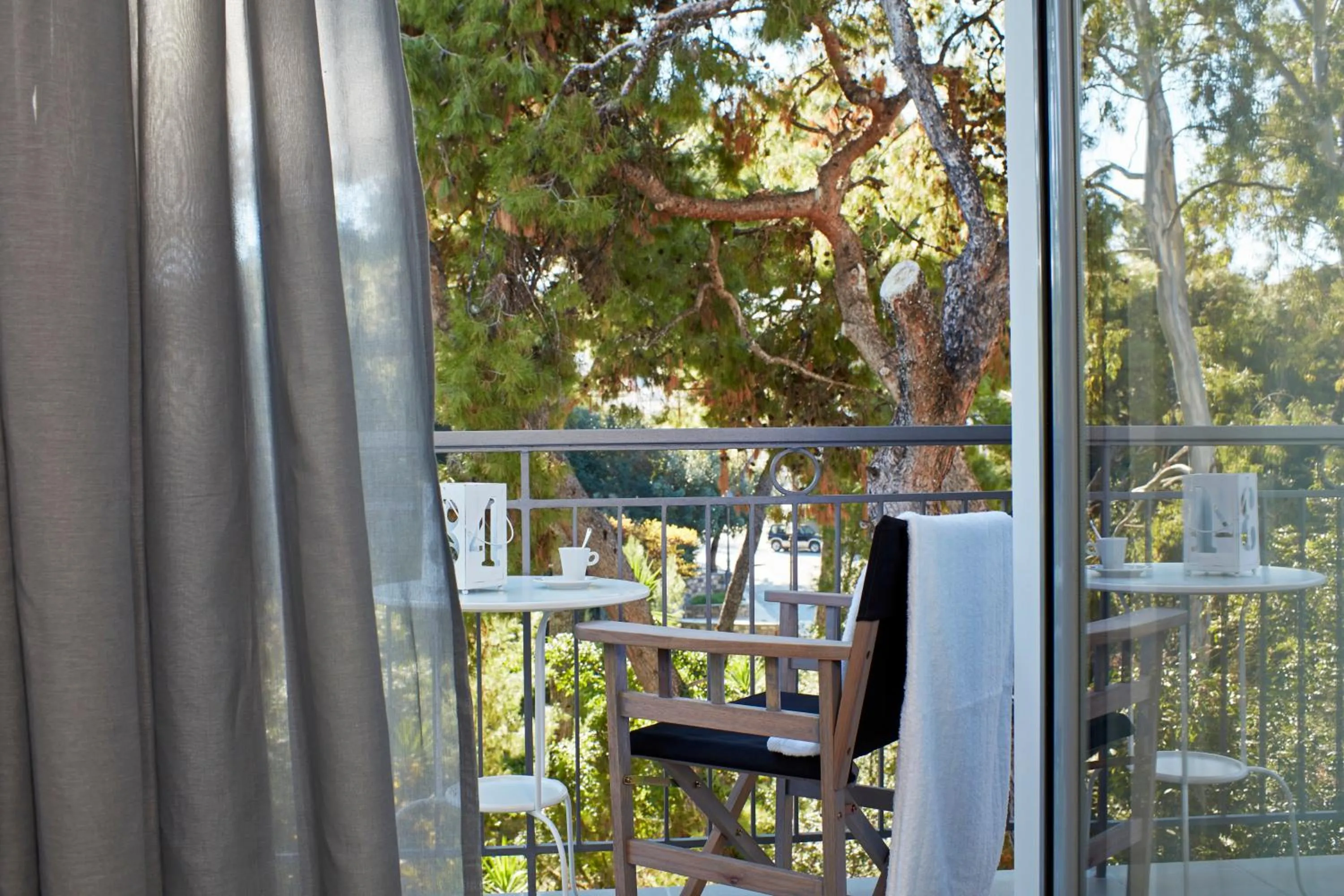 Garden view in The Gardens Gallery Hotel