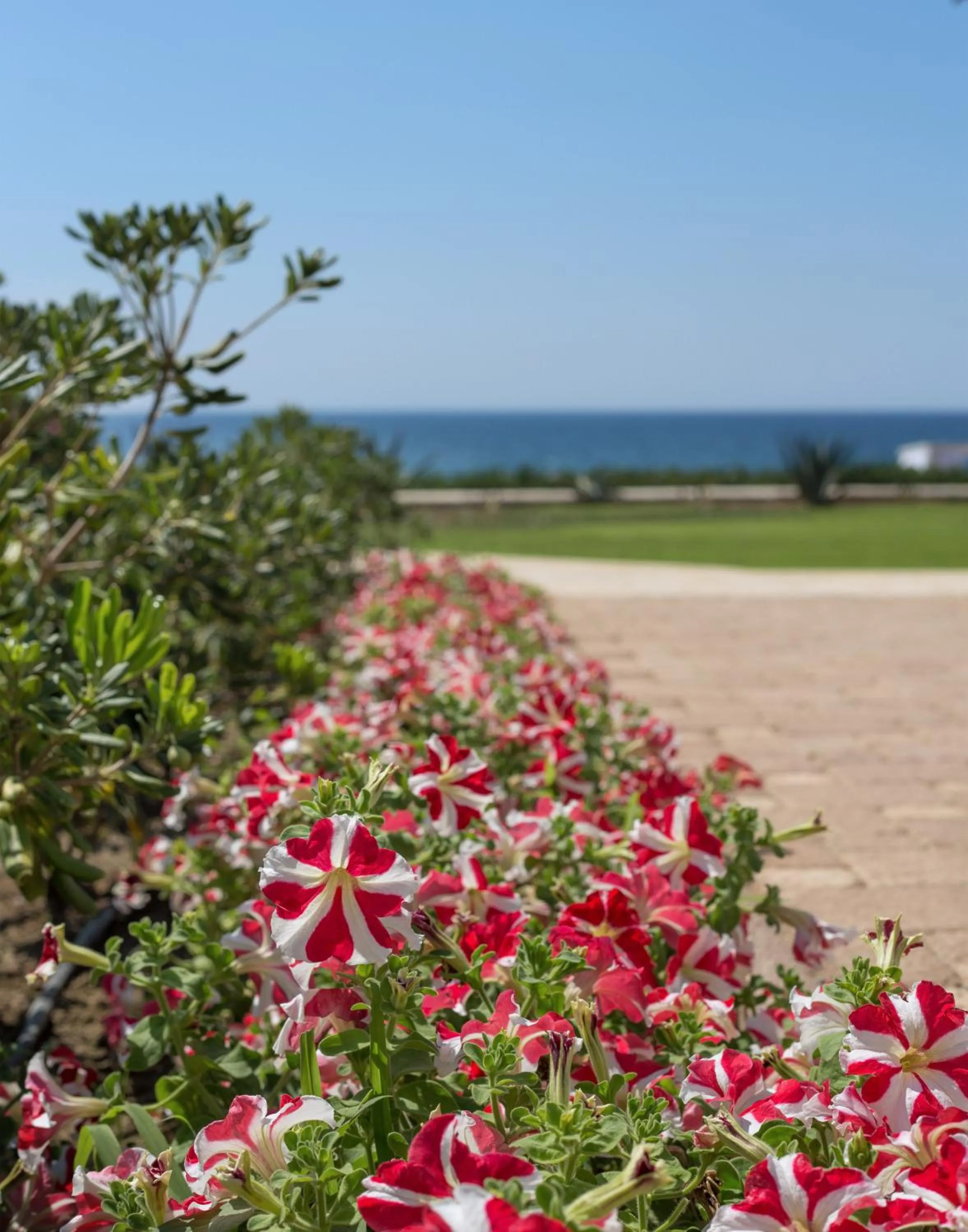 Decorative detail in Mareggio Exclusive Residences & Suites