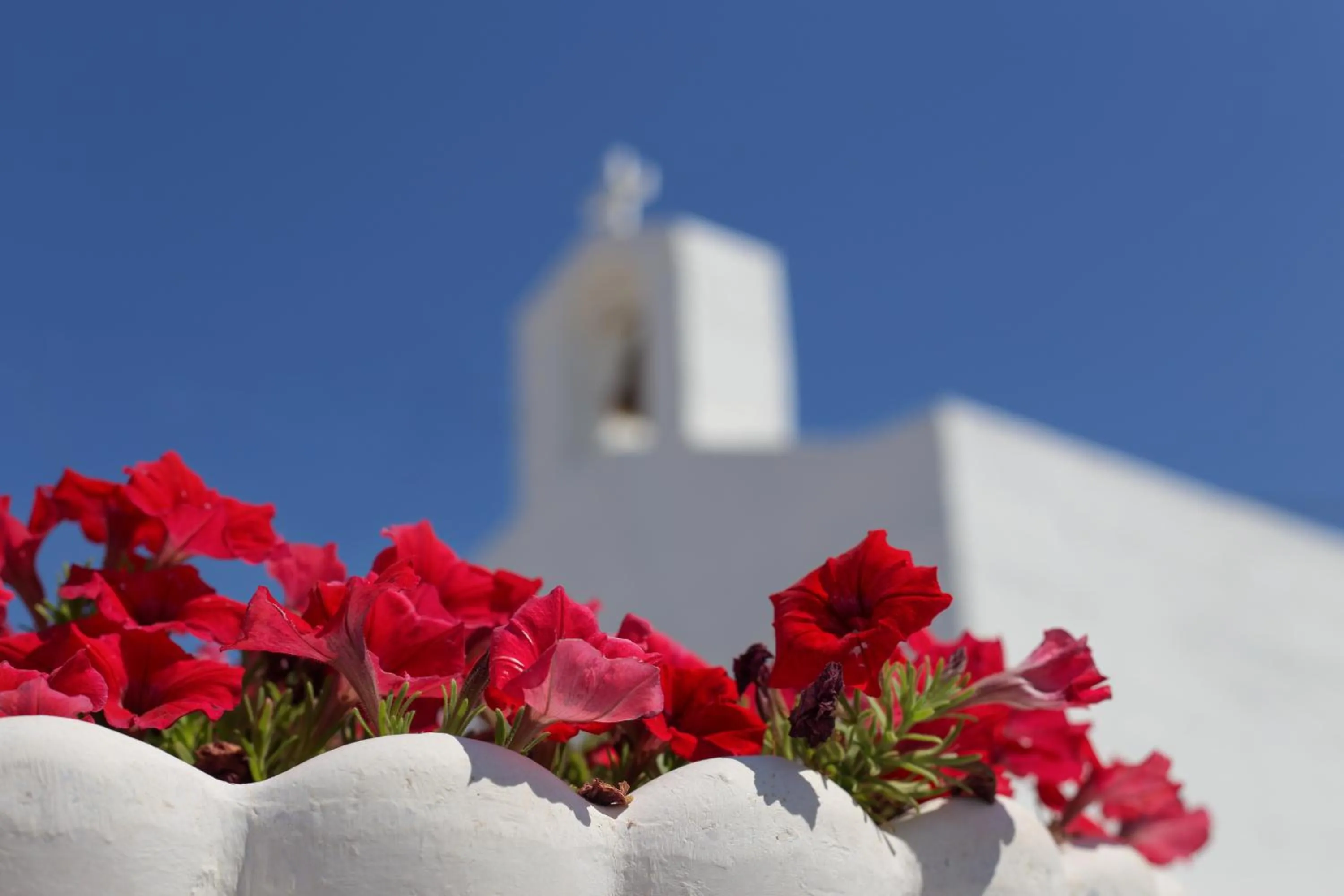 Decorative detail in Mareggio Exclusive Residences & Suites