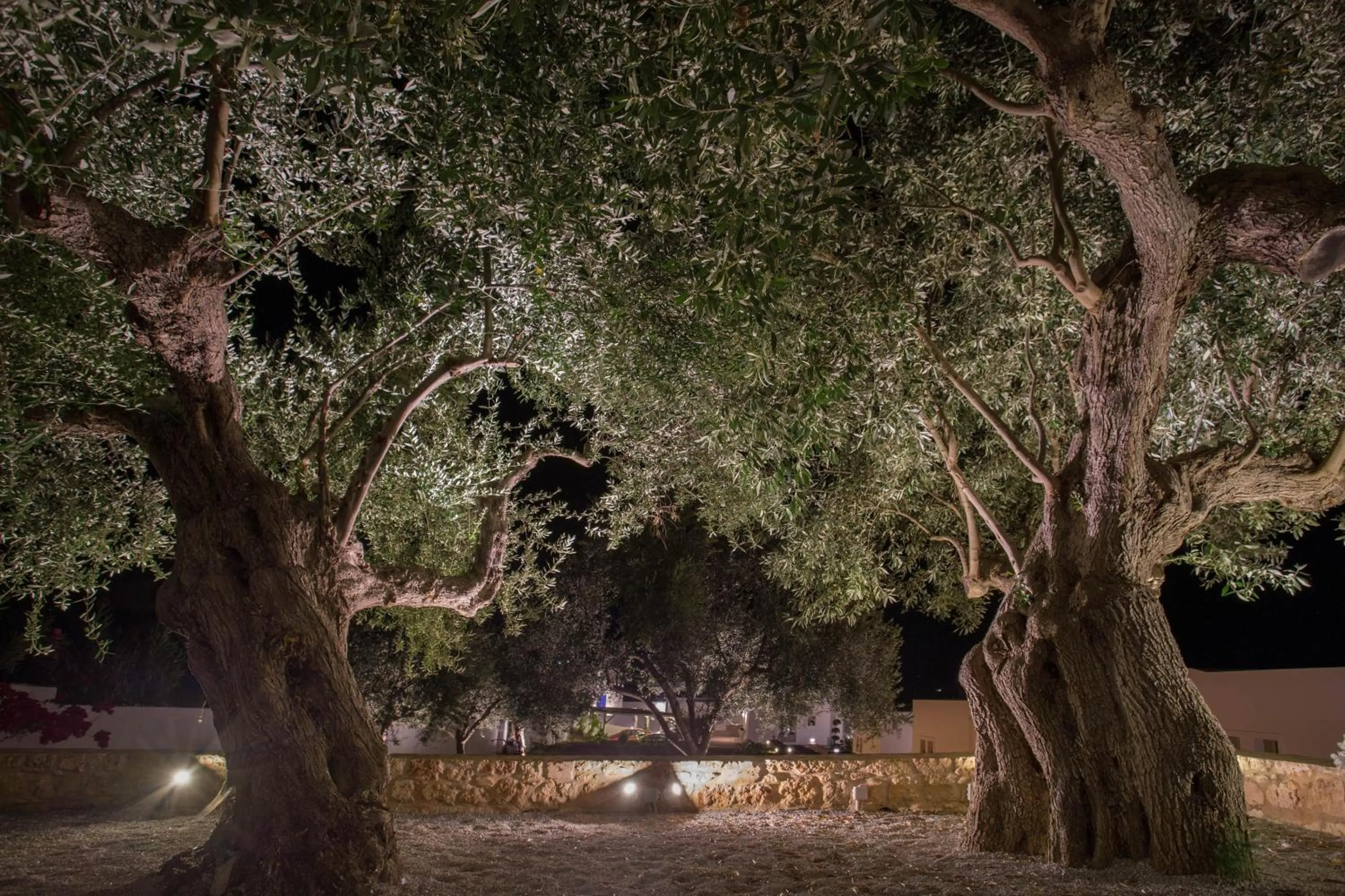 Garden in Mareggio Exclusive Residences & Suites