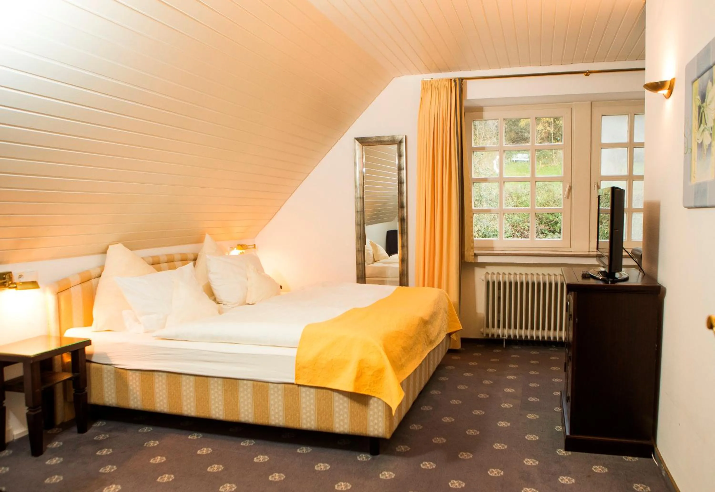 Double Room in Hotel Niedersächsischer Hof