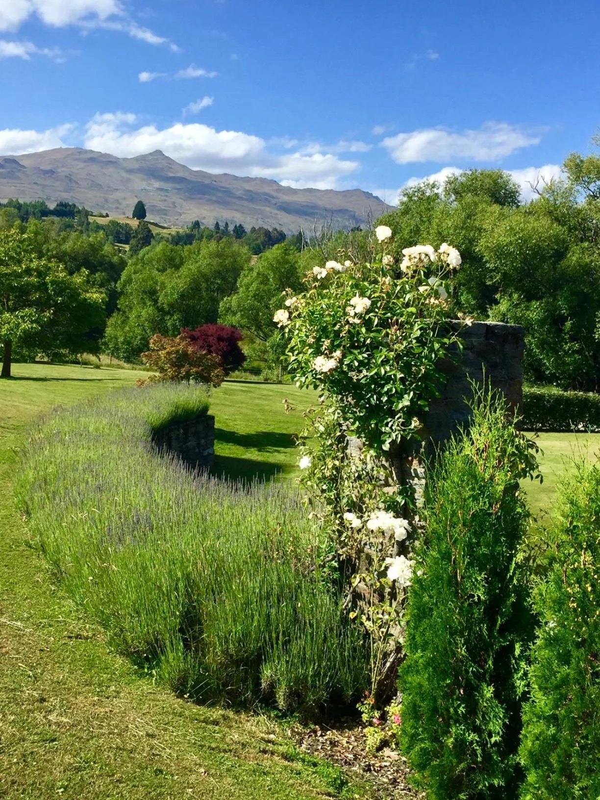Garden in Three Thirty B & B