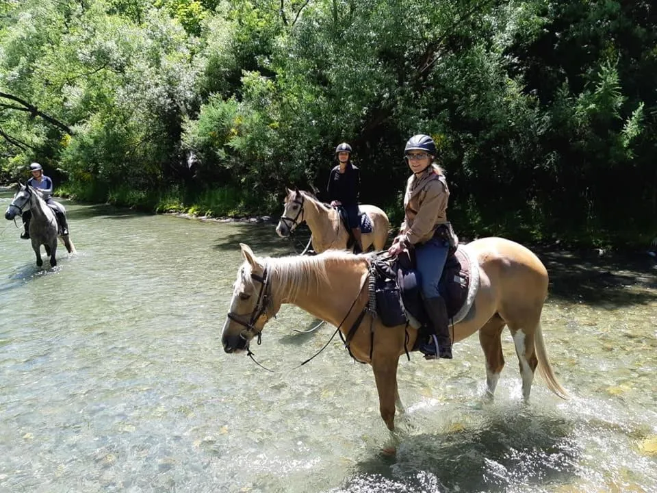 Off site in Three Thirty B & B