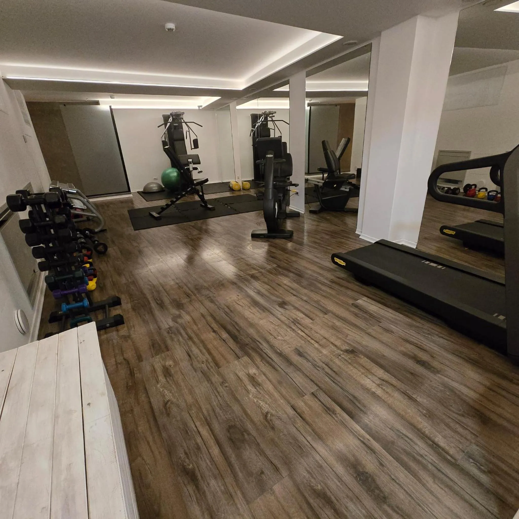 Fitness centre/facilities in Hotel Perruquet 3 Stelle SUPERIOR
