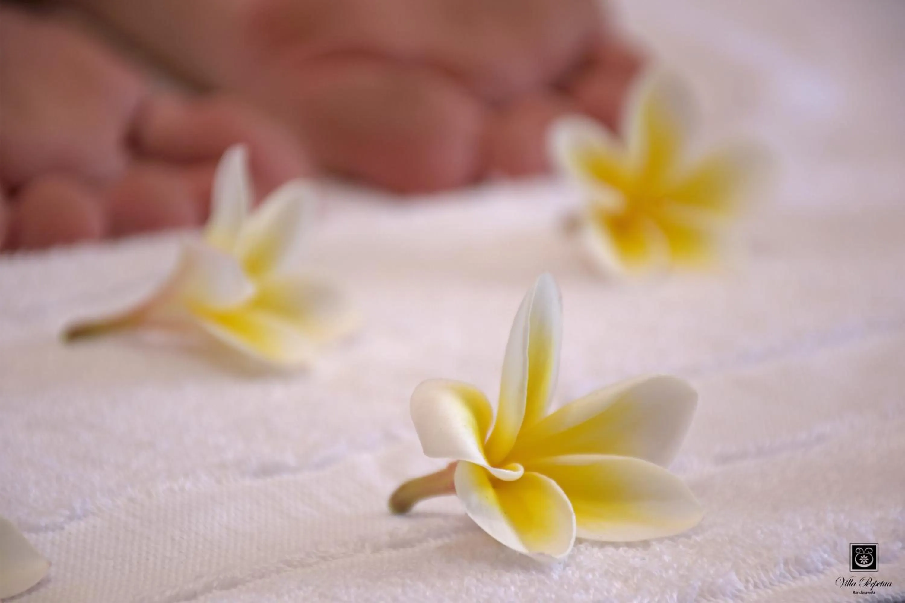 Massage in Villa Perpetua