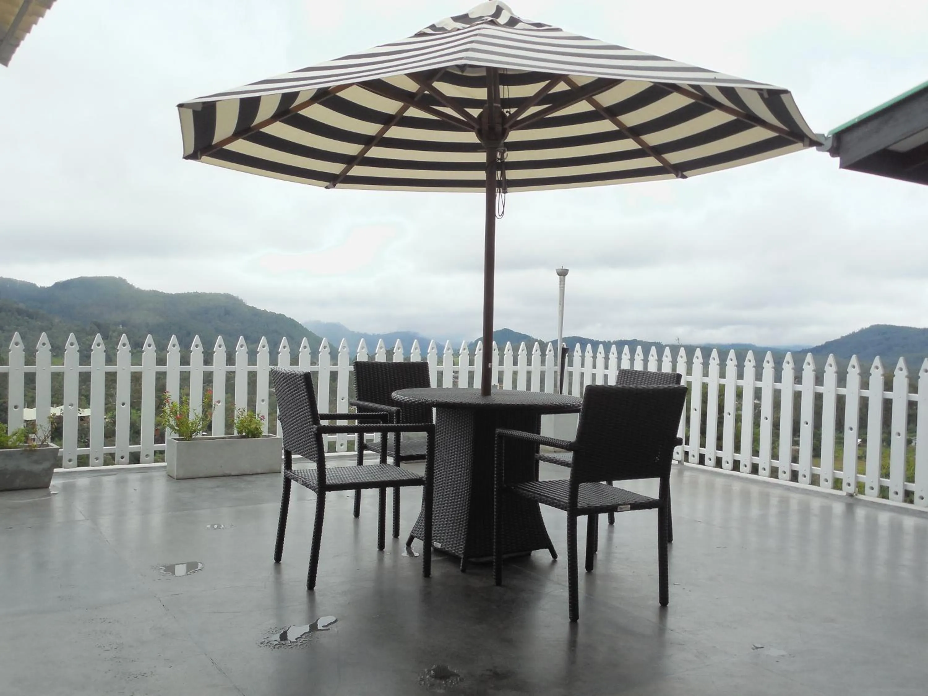 Balcony/Terrace in Villa Perpetua