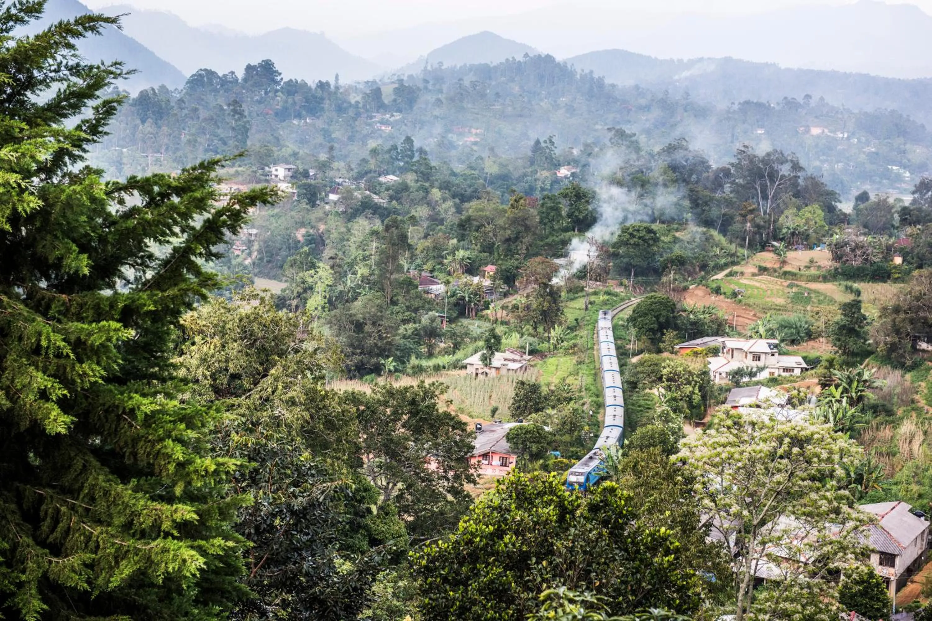 Garden in Villa Perpetua