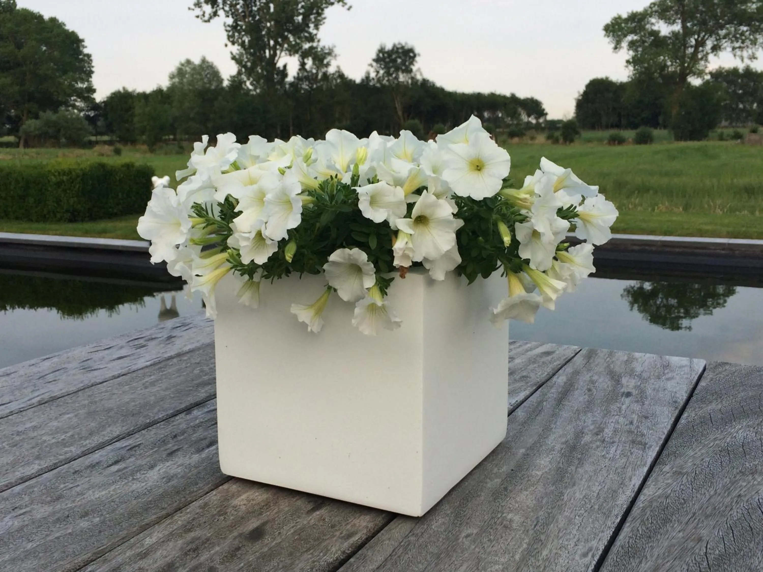 Bed and Breakfast Art