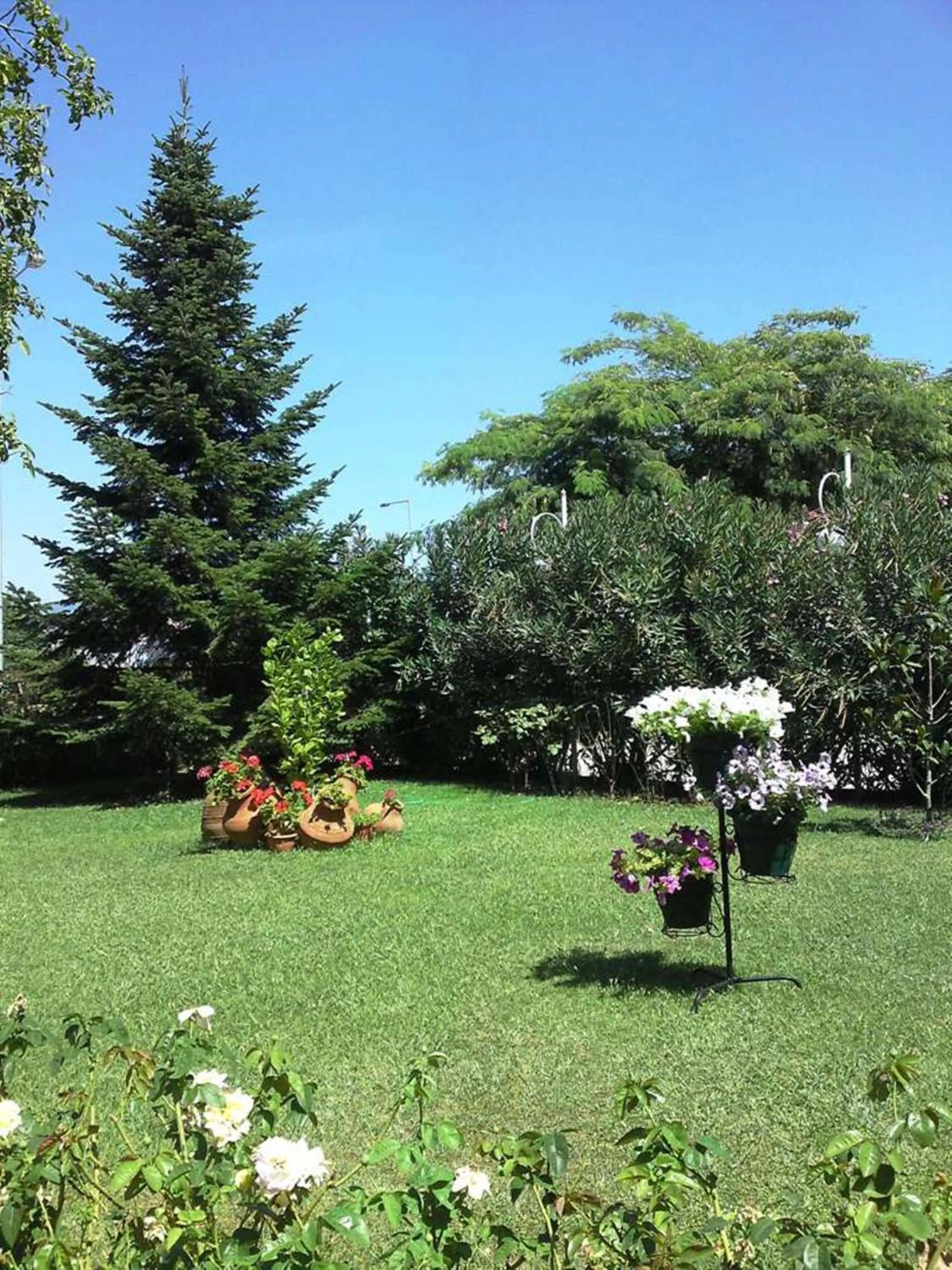 Garden in Rodopi Hotel
