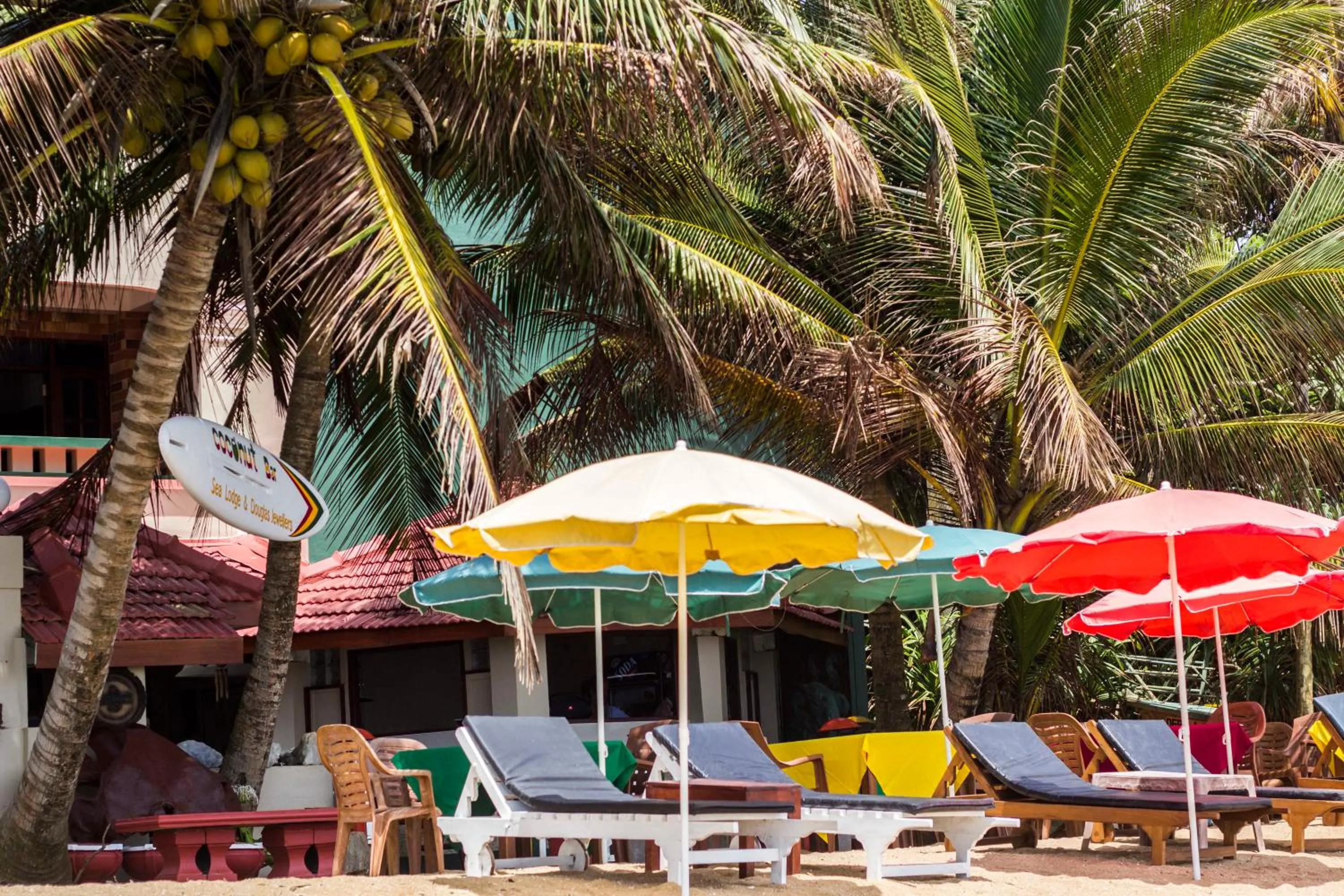 Day in Hotel Coconut Bar Sea Lodge