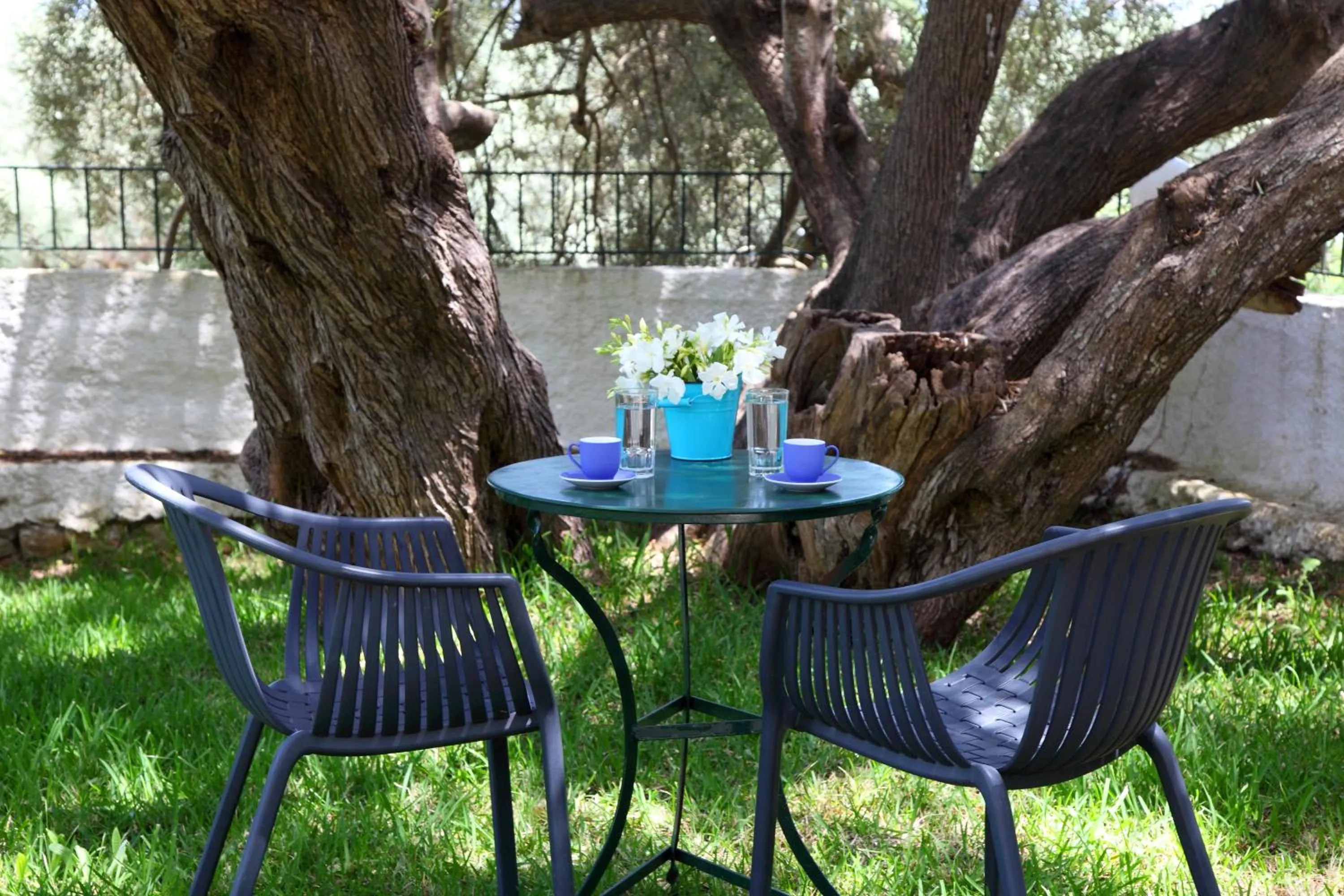 Garden in Summer House Louisa