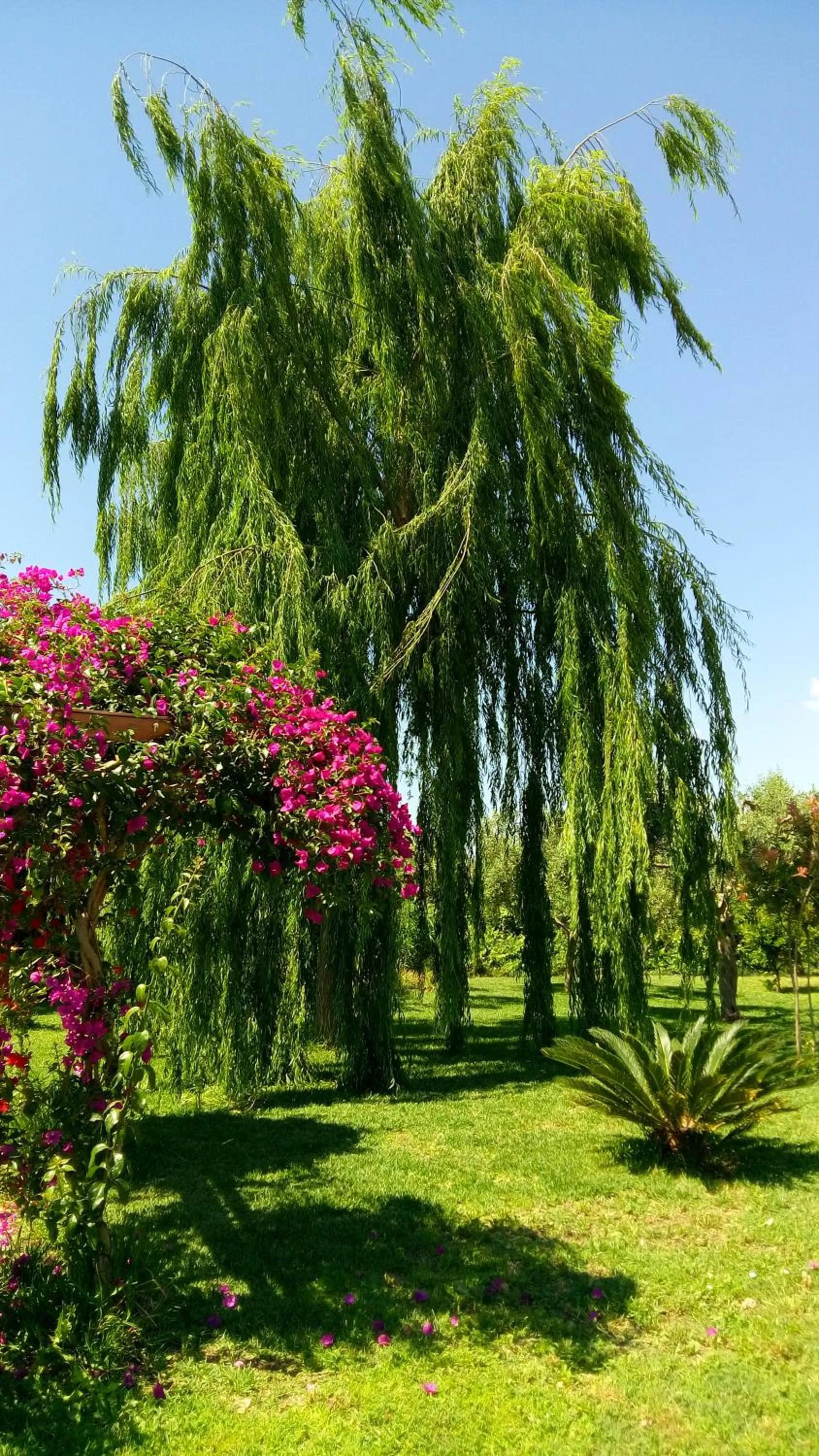 Property building in La Casa Dei Sogni