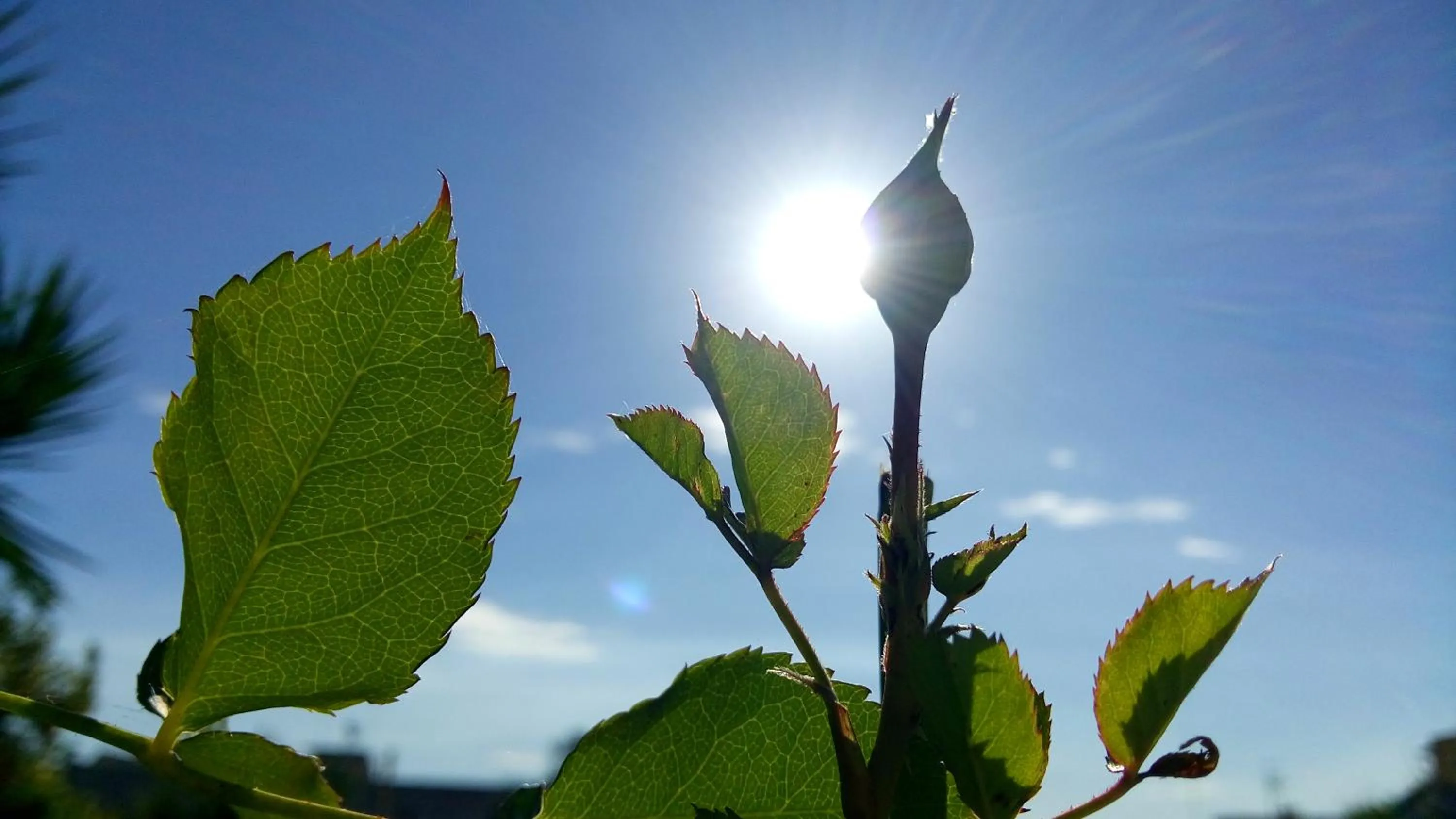 Natural landscape in La Casa Dei Sogni