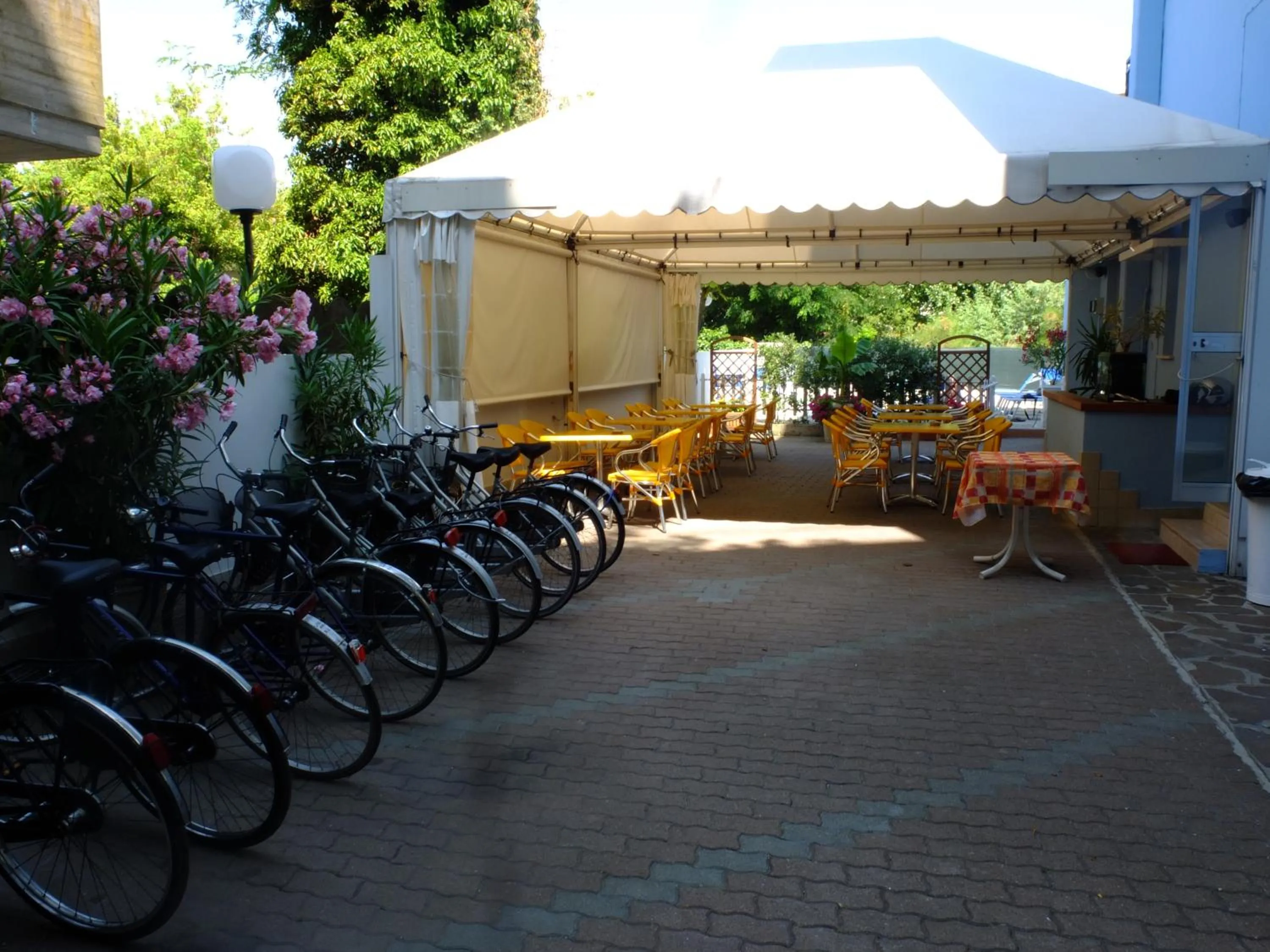 Garden in B&B Hotel Villa Nora