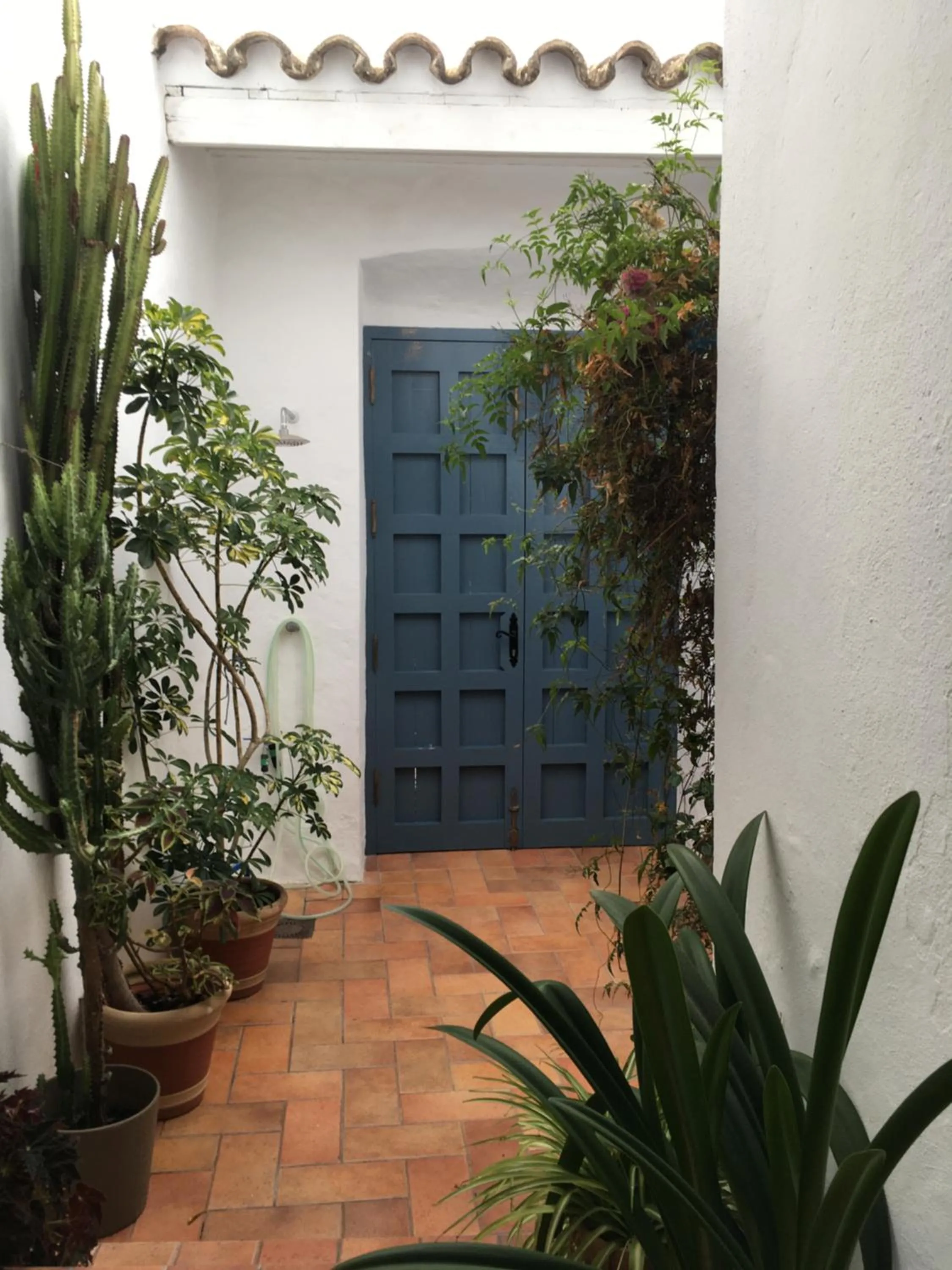 Casa Dulce