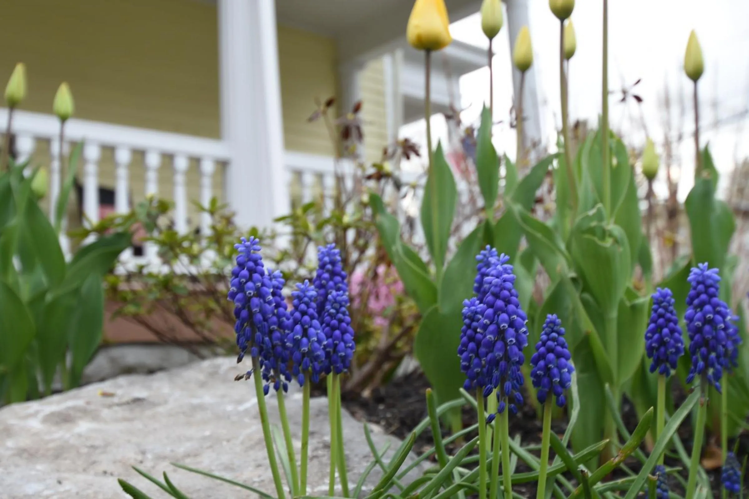 Garden in 34 State "Historic Luxury Suites" Skaneateles