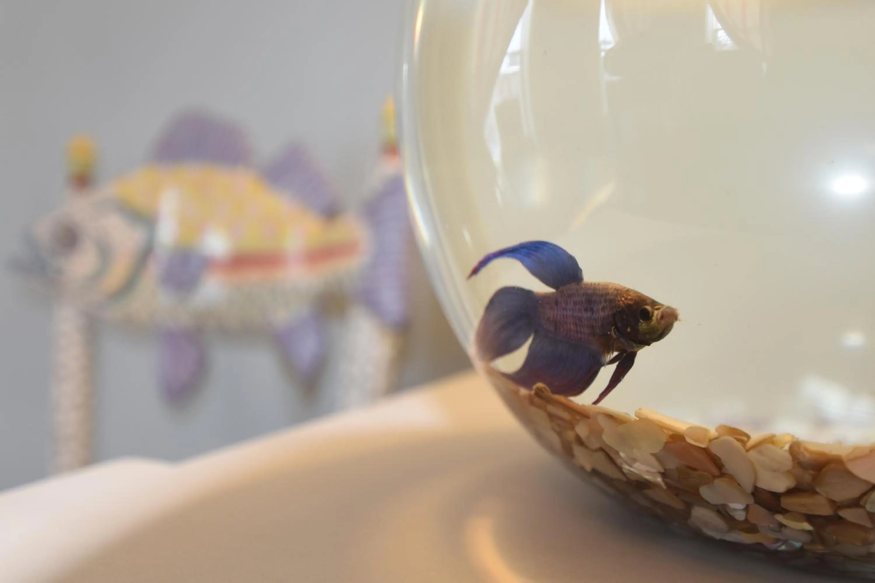 Decorative detail in 34 State "Historic Luxury Suites" Skaneateles