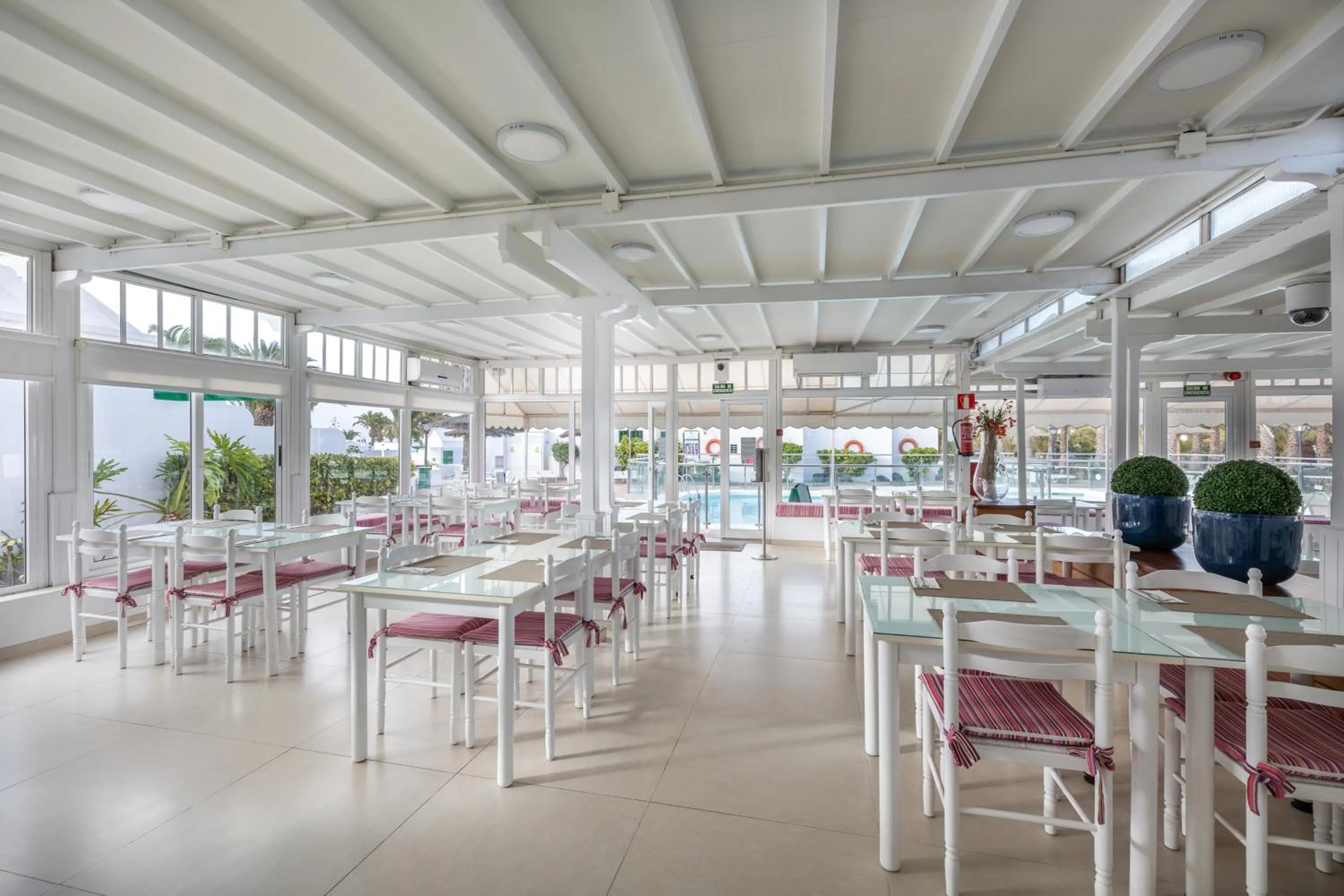 Restaurant/places to eat in Apartamentos LIVVO Las Gaviotas