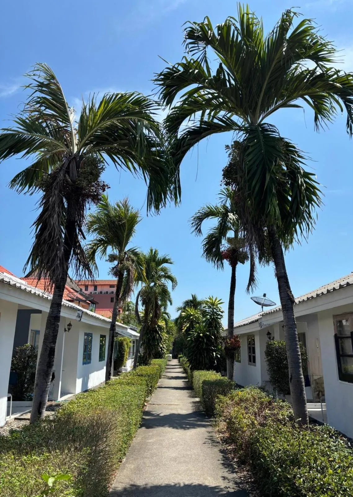 Property building in 1715 House - White Rhino