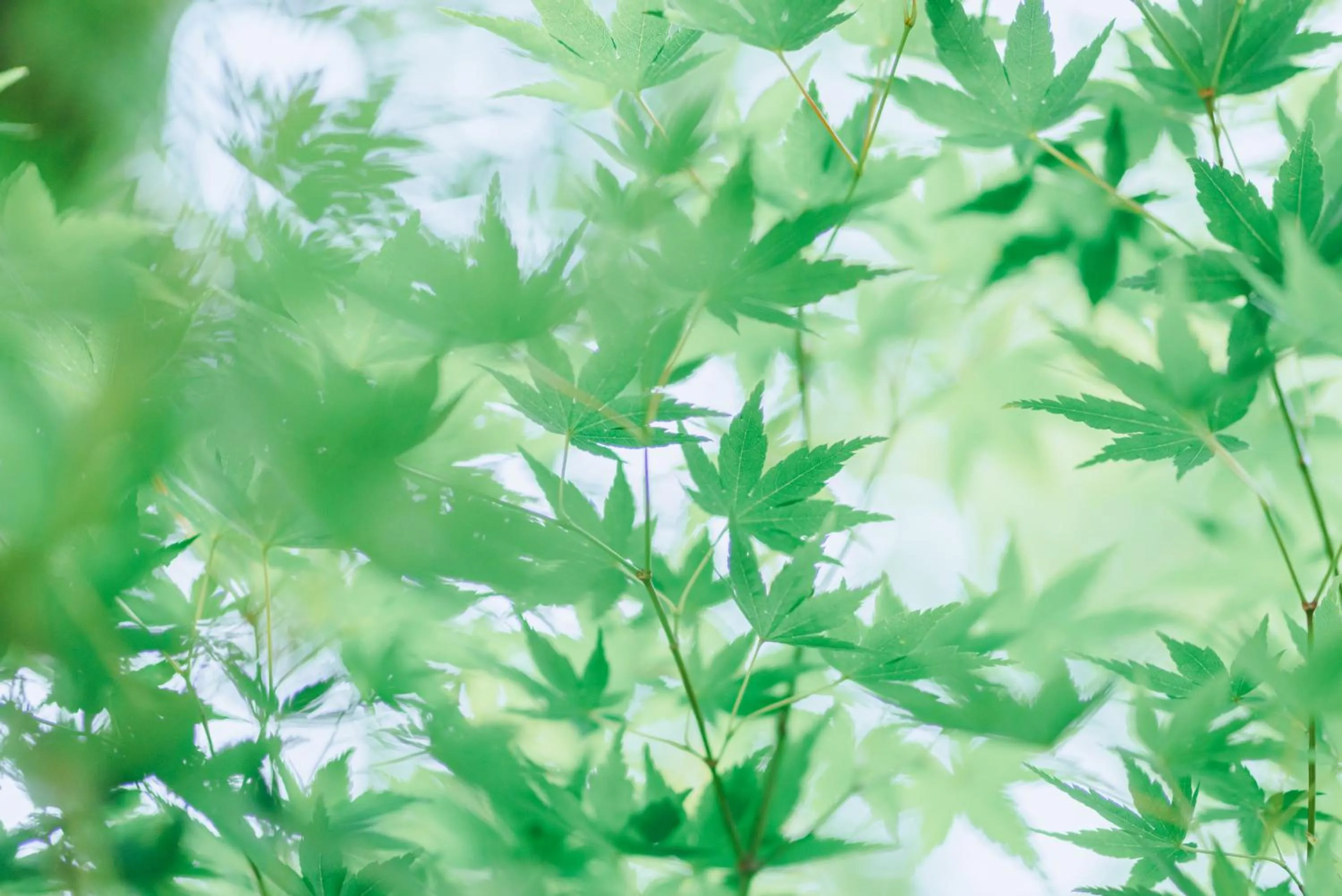 Other in SEKIYA RESORT Terrace Midoubaru