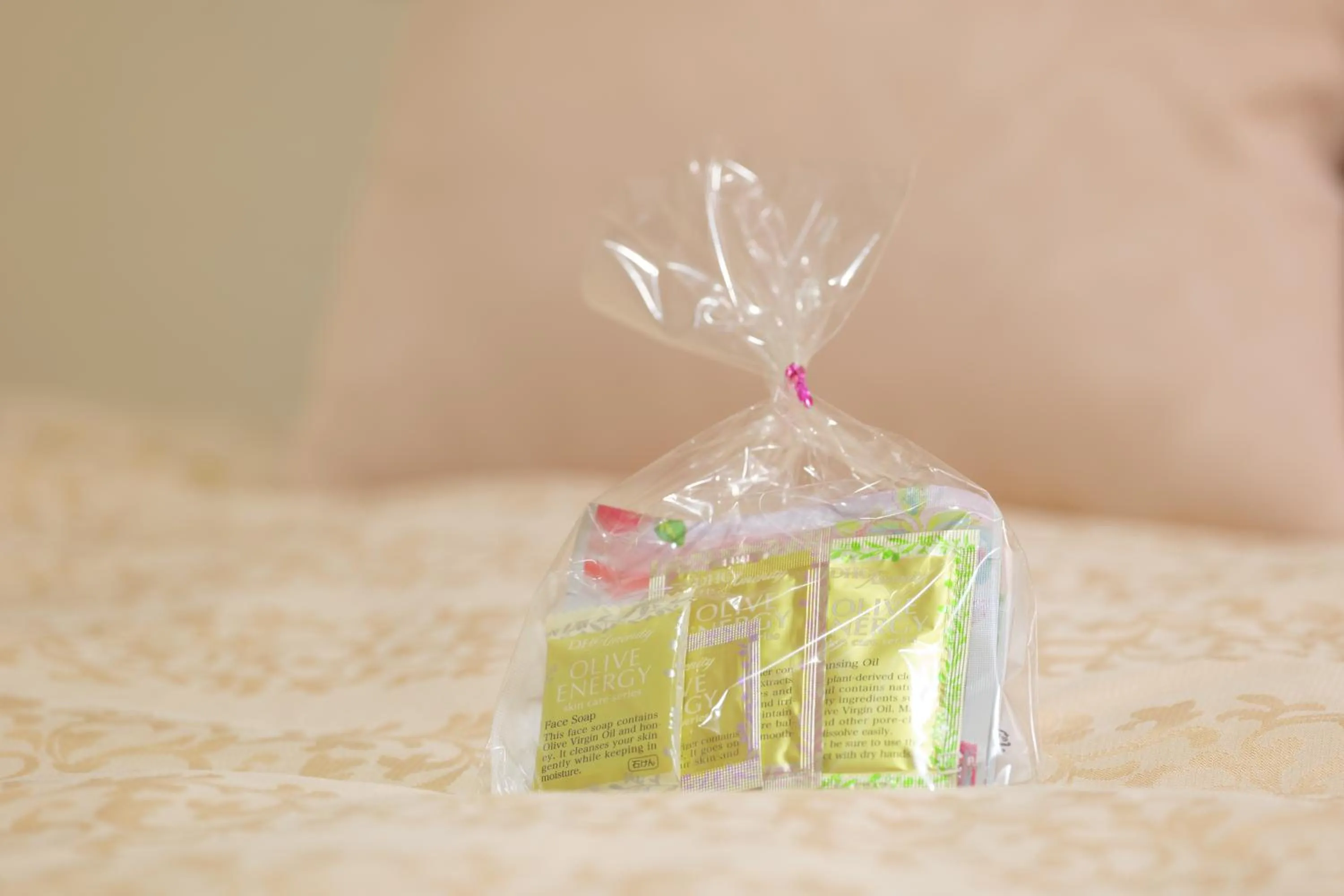 Hotel Suntargas Ueno