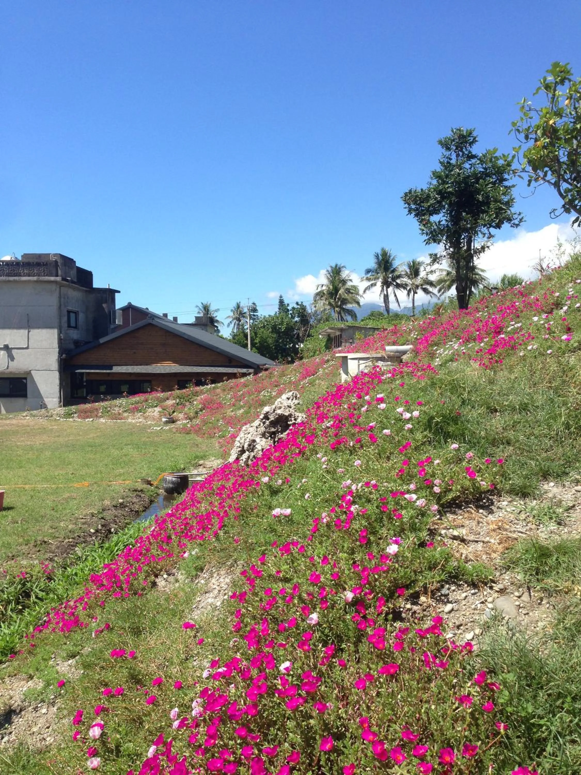 Garden in Runners' House Taitung