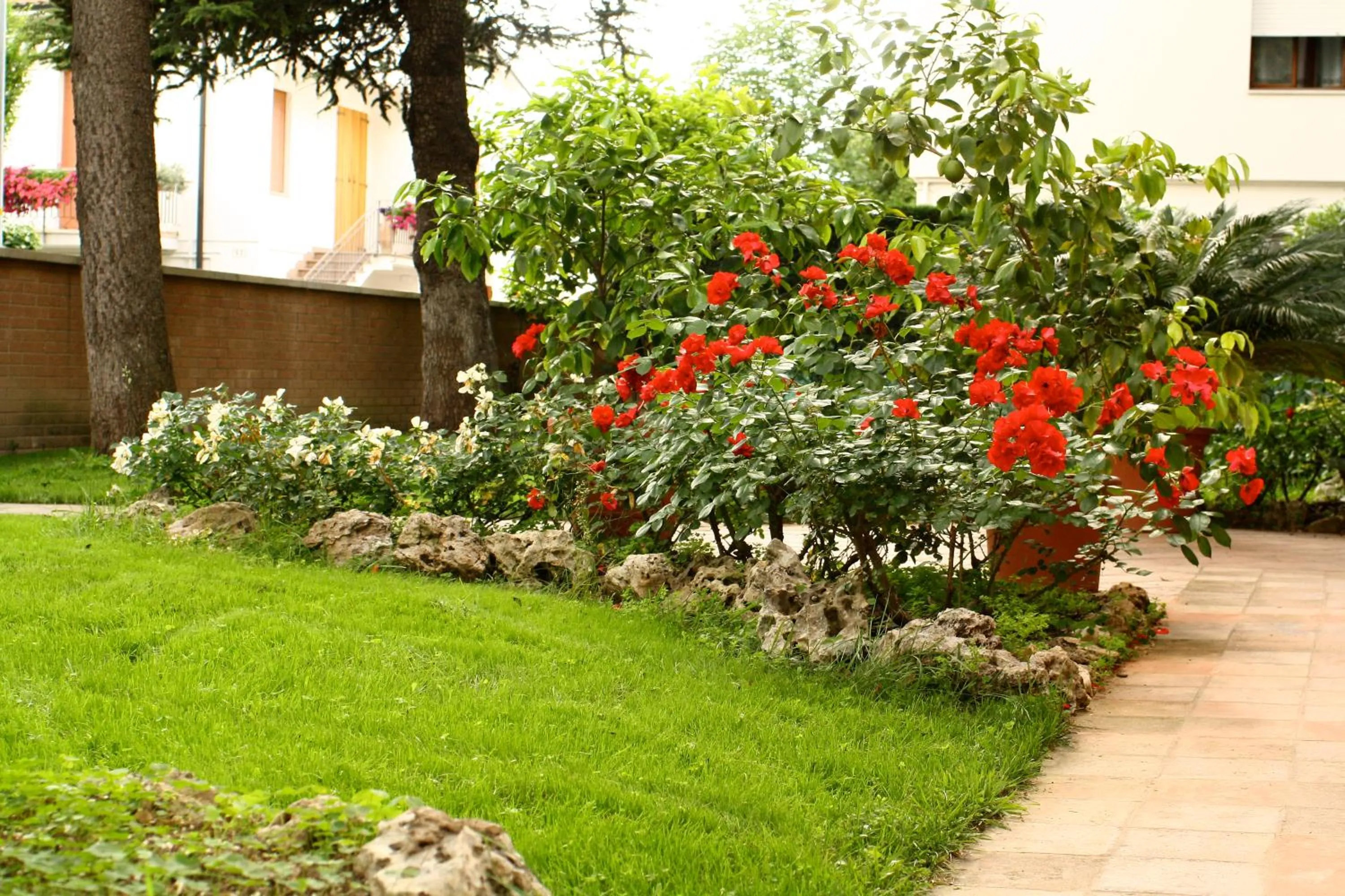 Garden view in B&b Igea 50