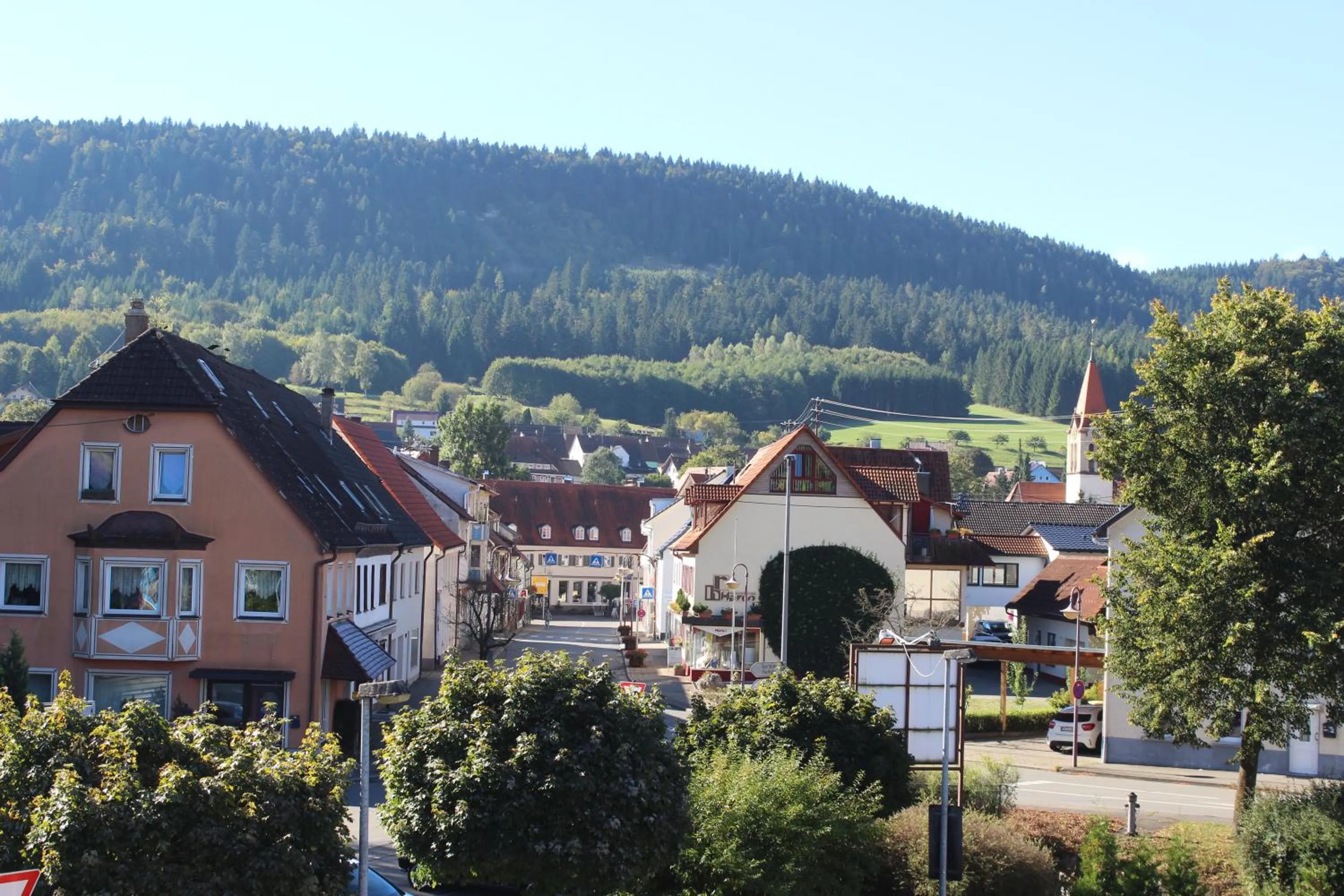 Neighbourhood in Hotel Heuberger Hof, Wehingen