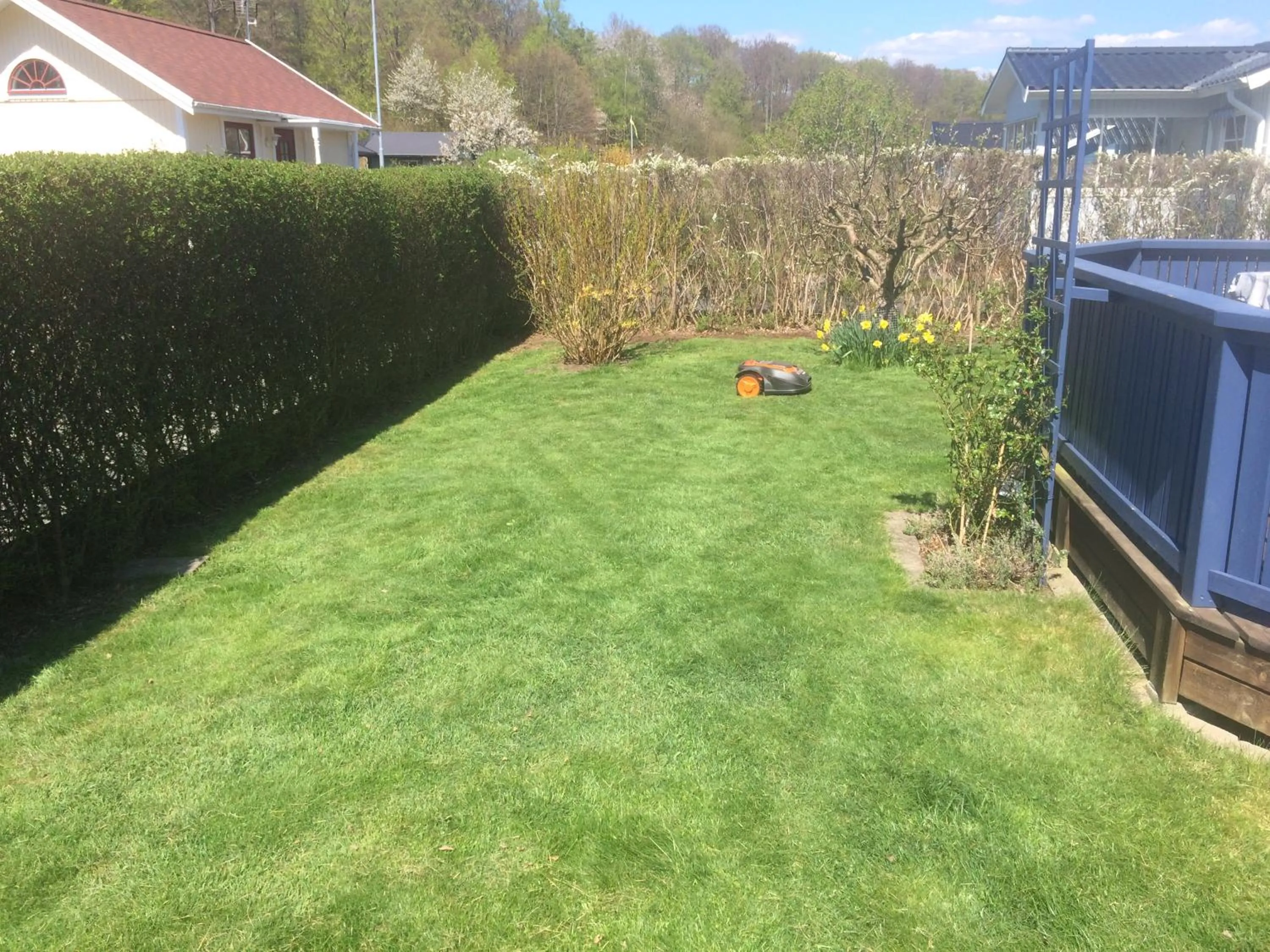 Garden in Badstugan