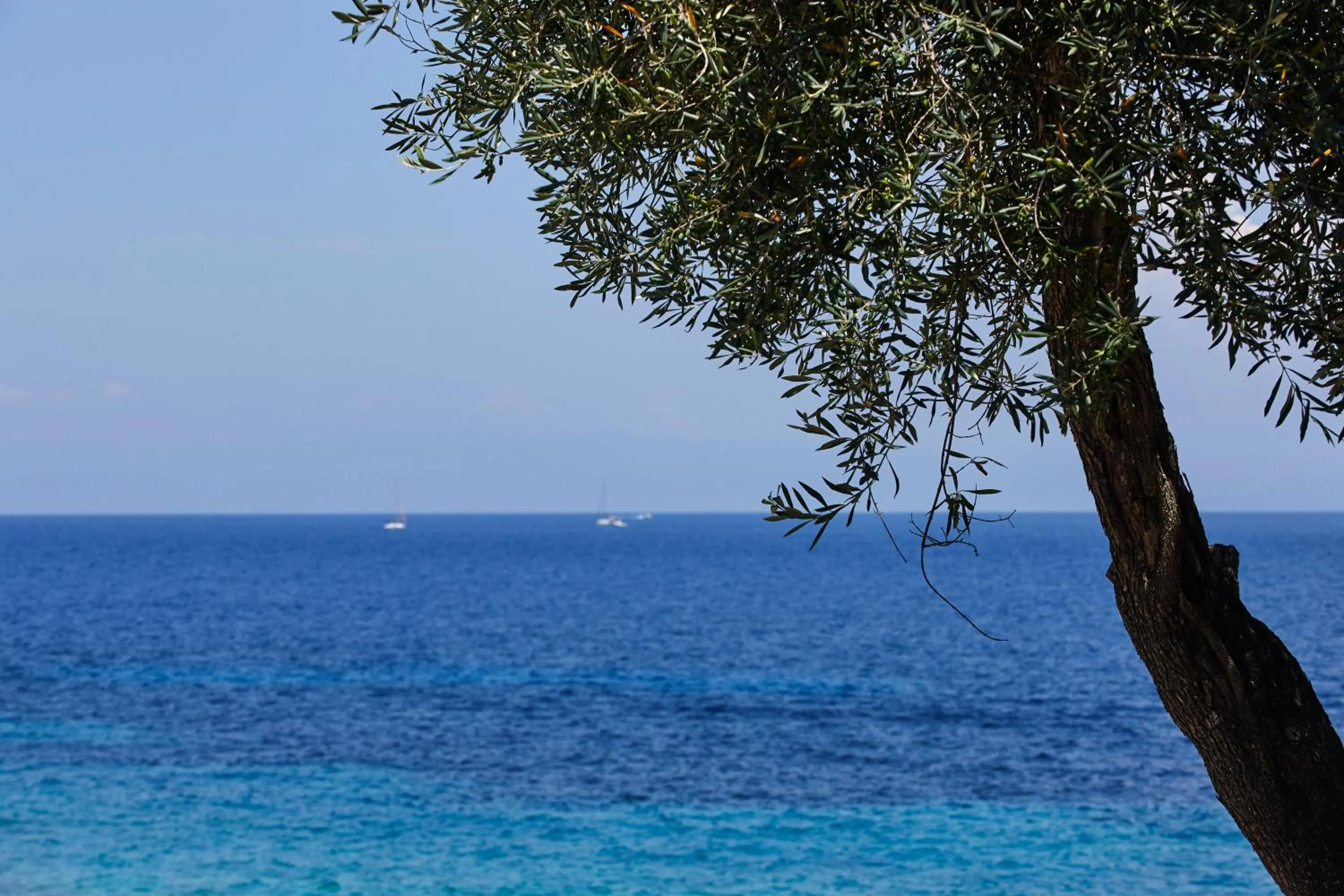Summer in Anassa Mare Villas & Residences