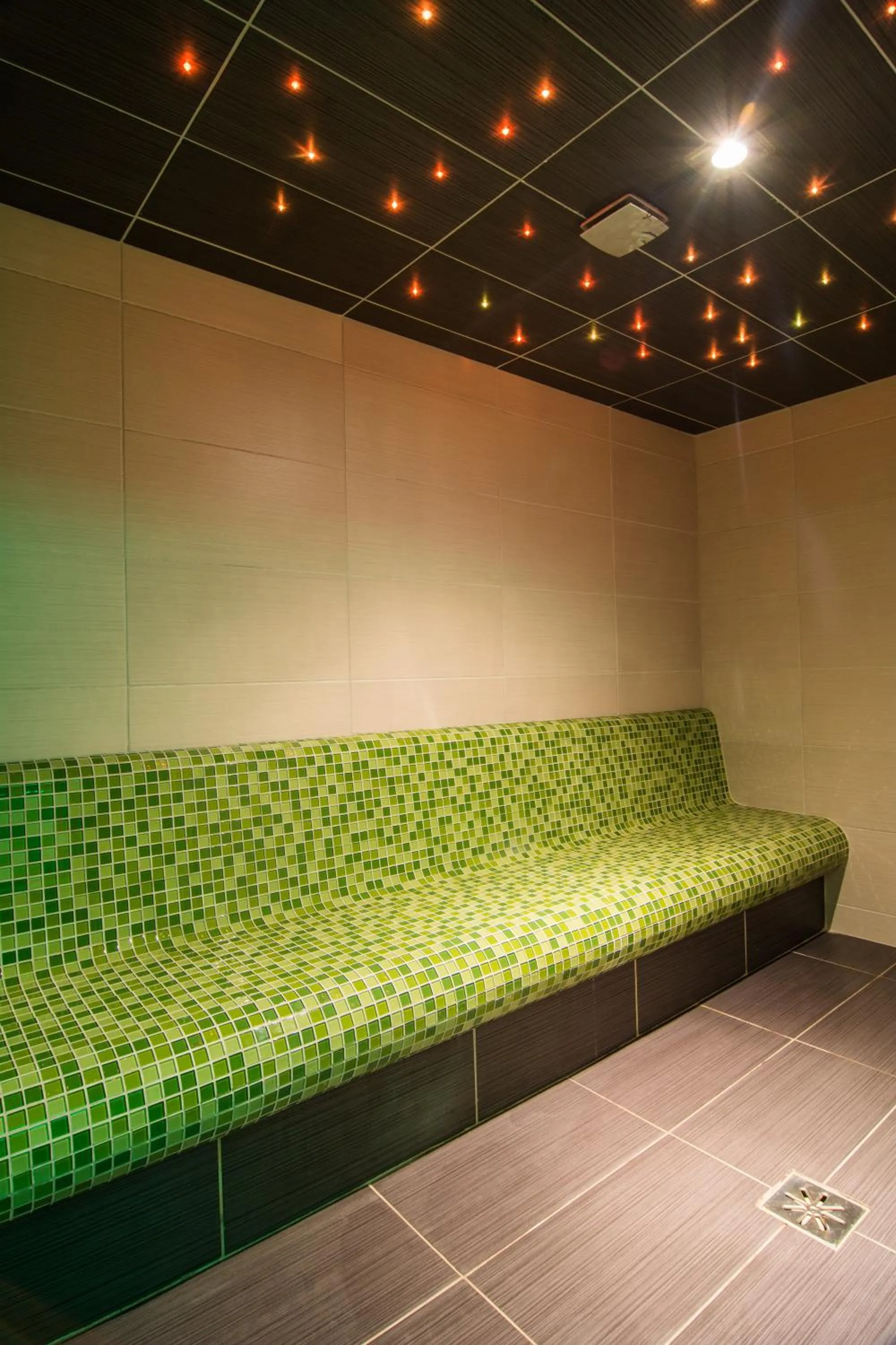 Steam room in Dom Pod Koziołkami