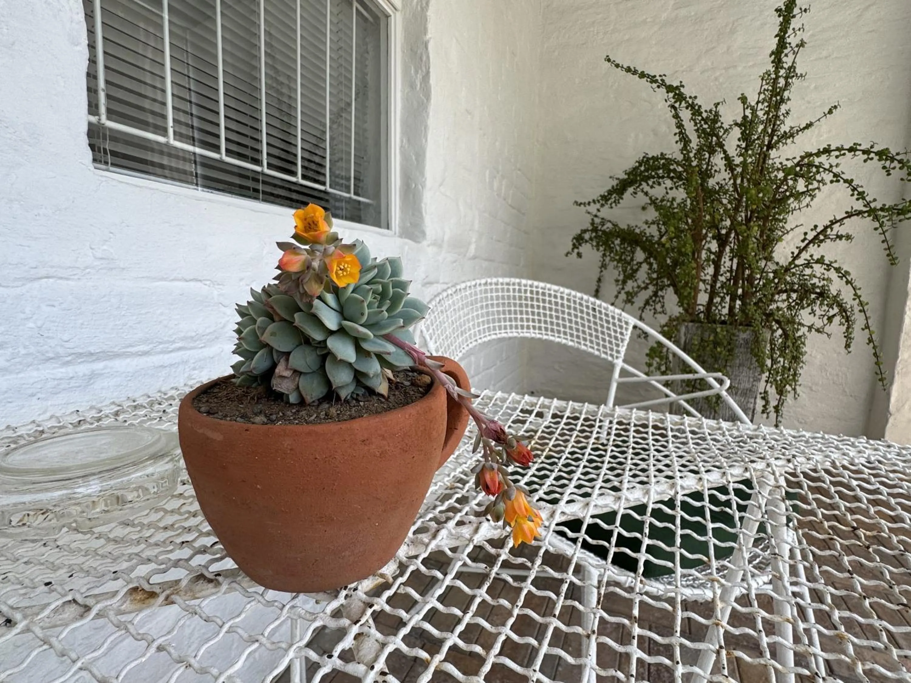 Patio in Rietjiesbos Self Catering