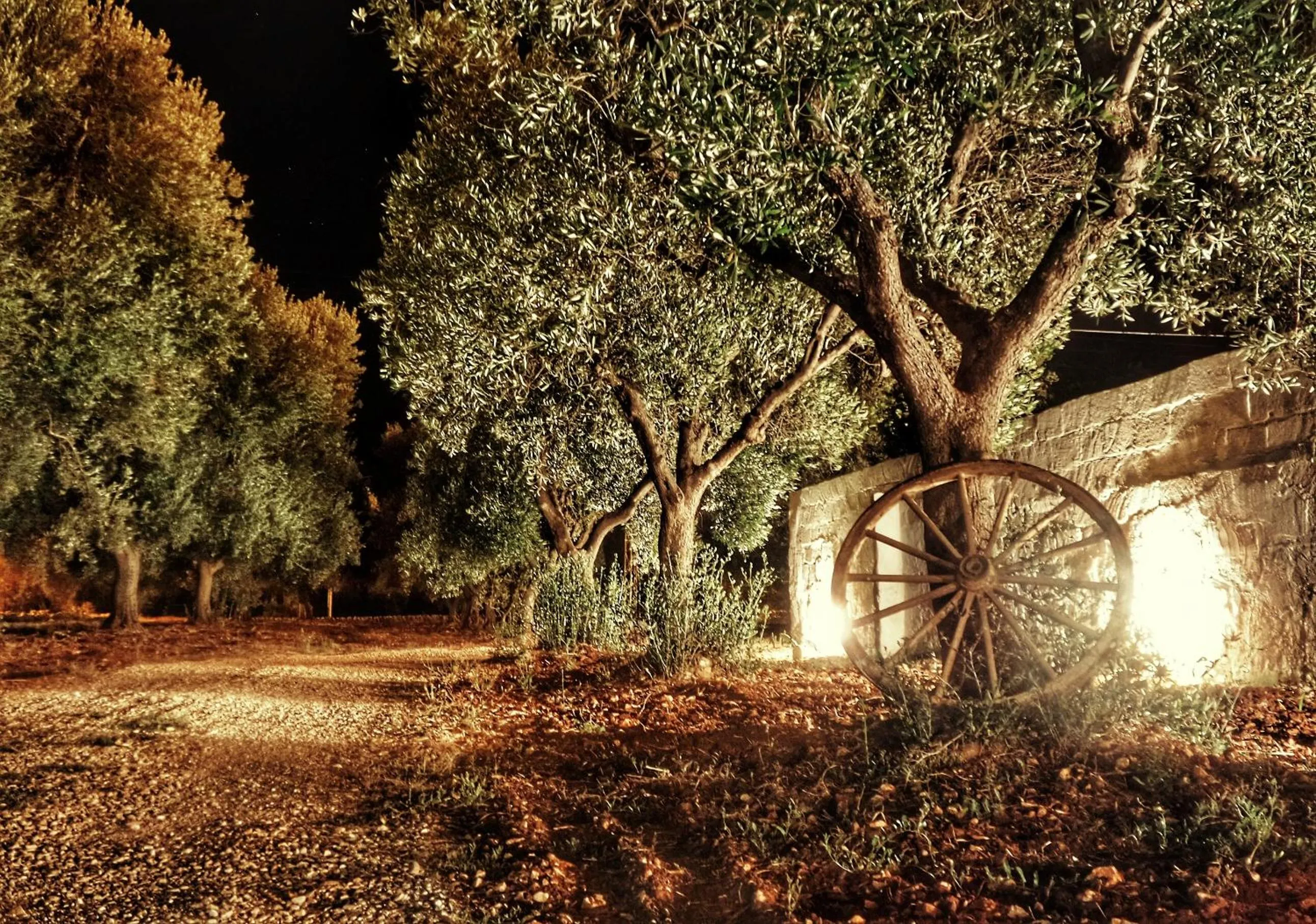 Night in Oltre gli Ulivi