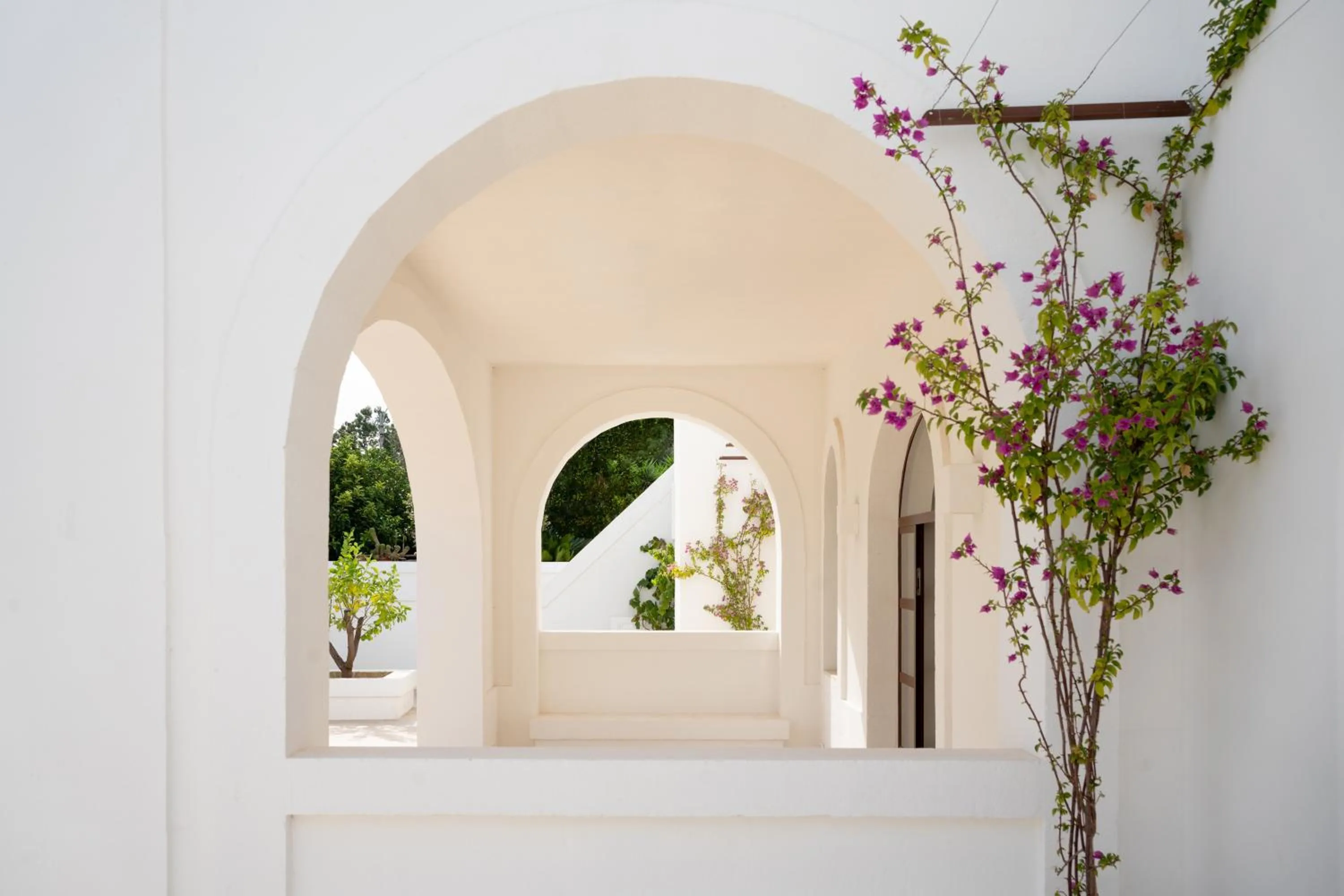 Spring in Oltre gli Ulivi