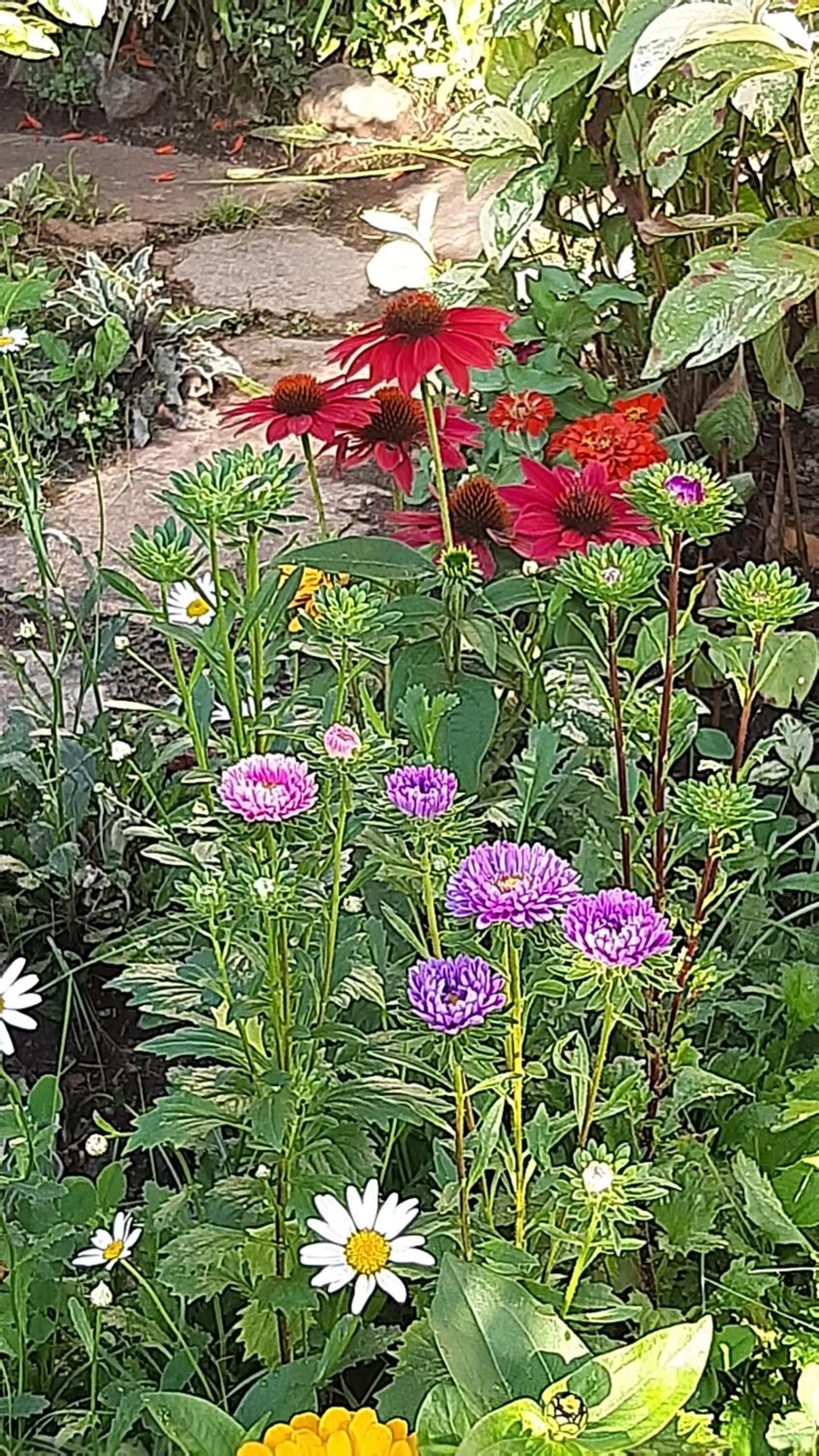 Garden in B&B Al Mutpron