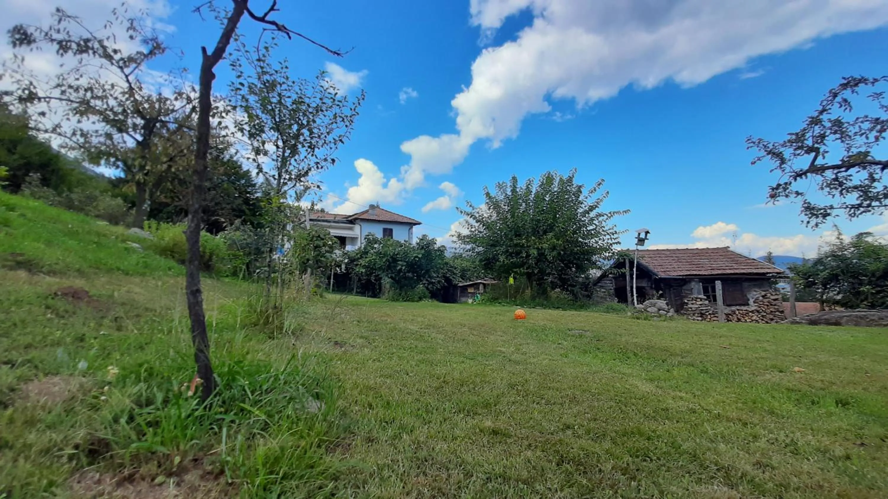 Garden in B&B Al Mutpron