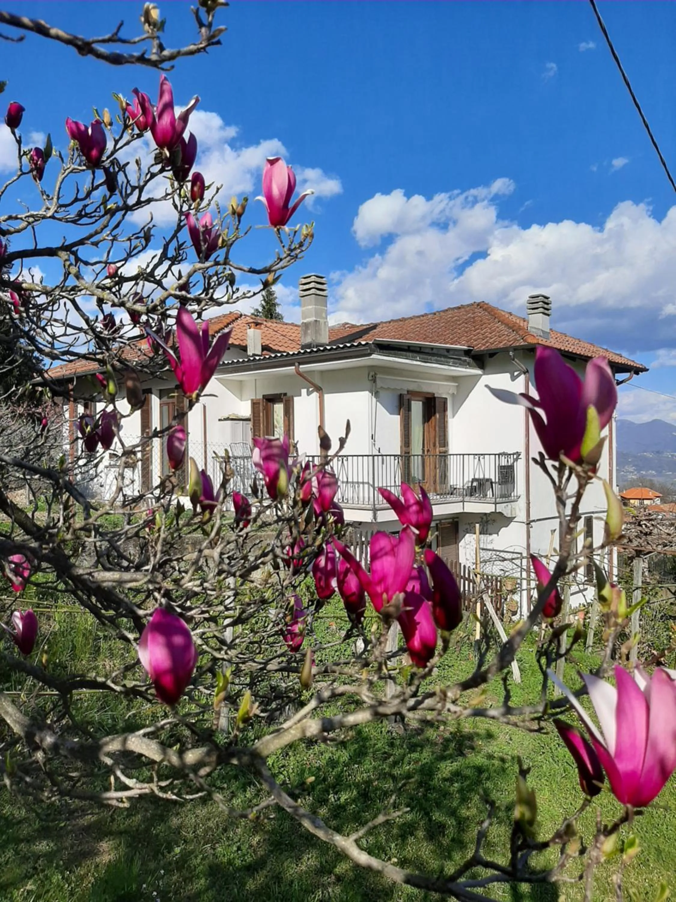 Garden in B&B Al Mutpron