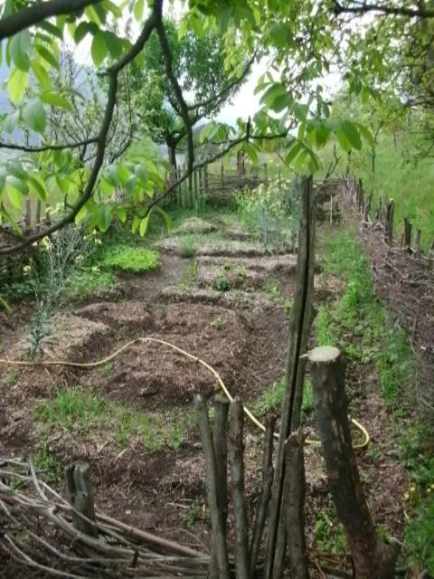 Other in B&B Al Mutpron